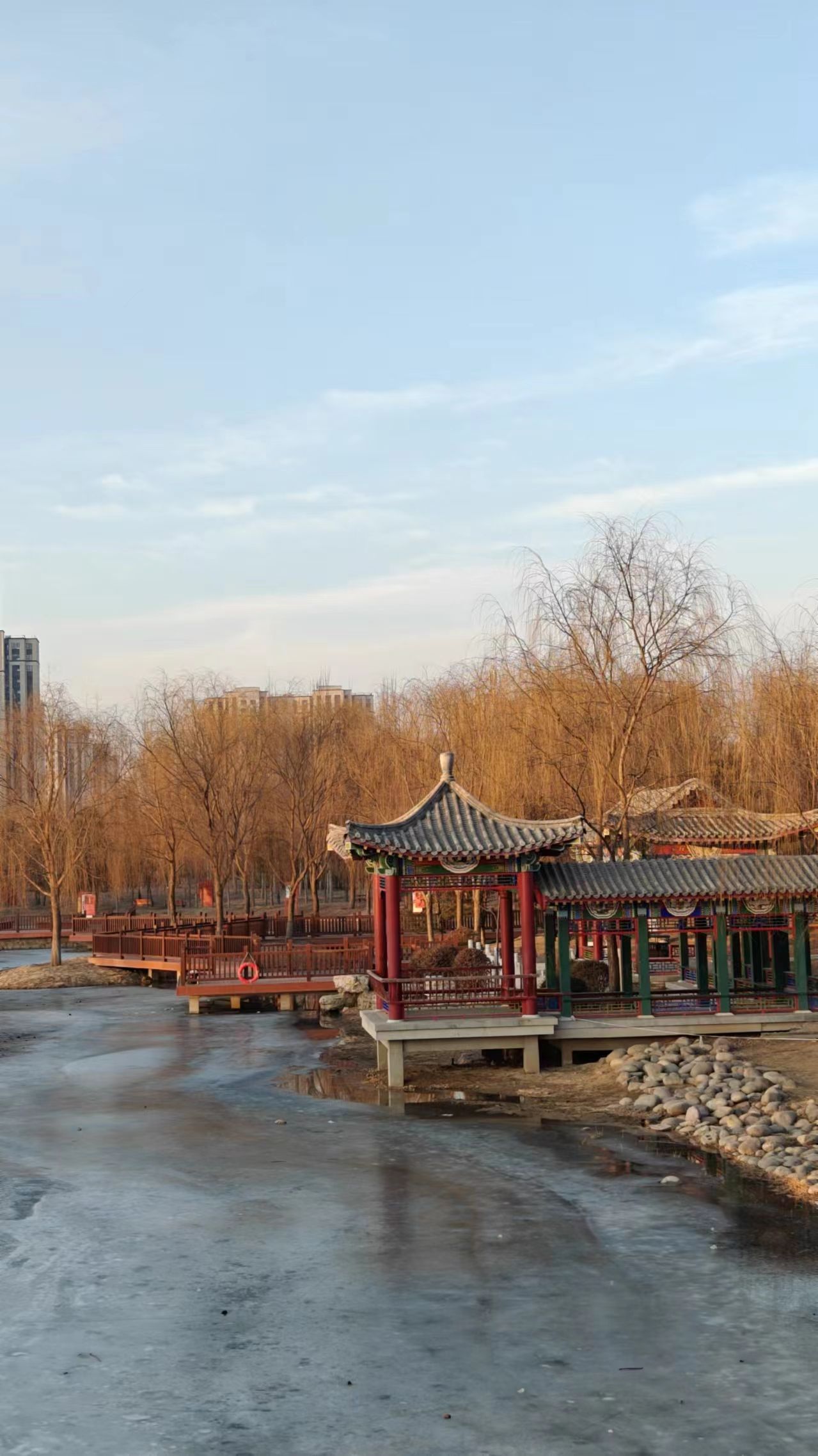旧宫城市森林公园旅行图片 3