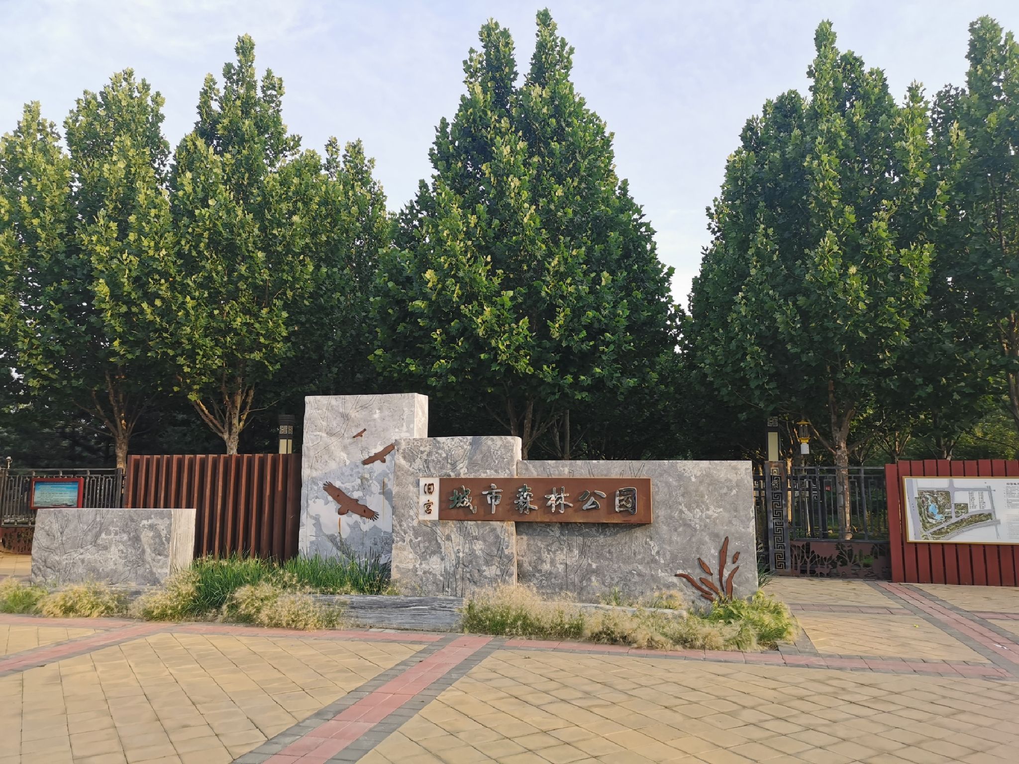 旧宫城市森林公园旅行图片 1