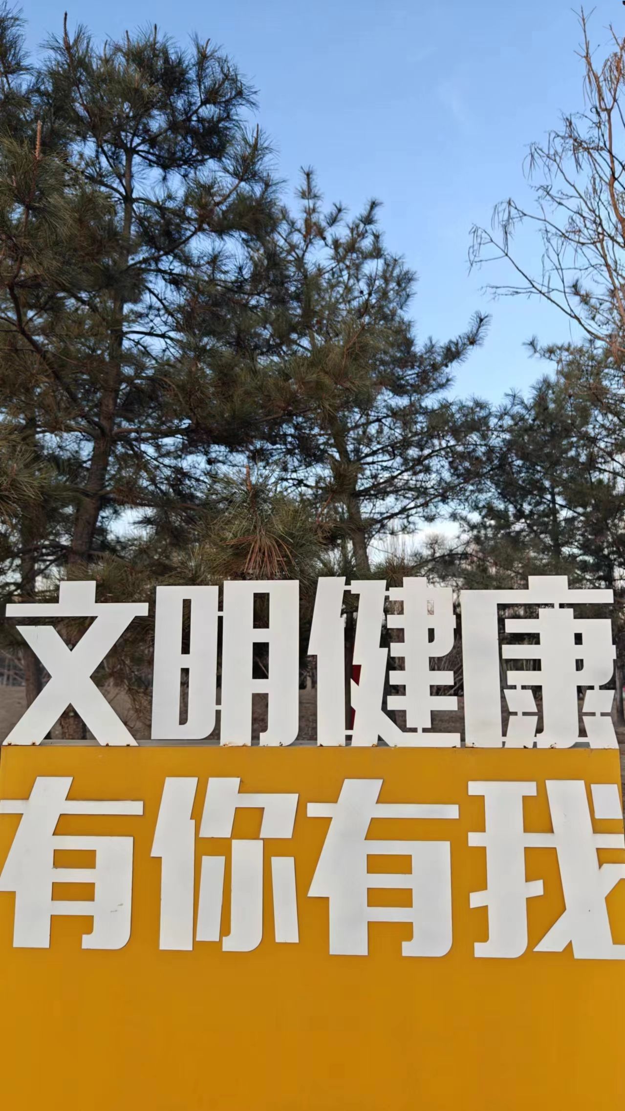旧宫城市森林公园旅行图片 1