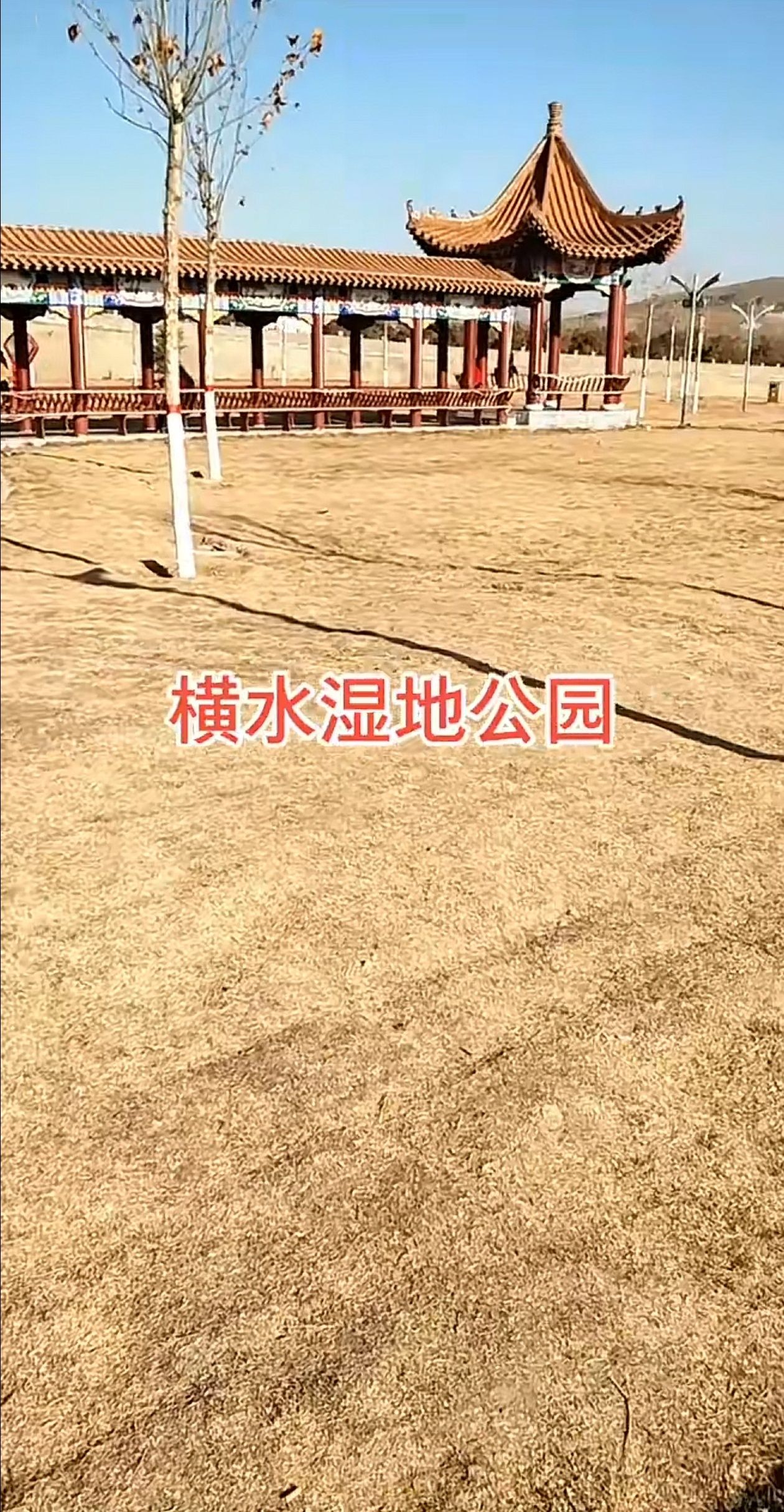 横水湿地公园旅行图片 3