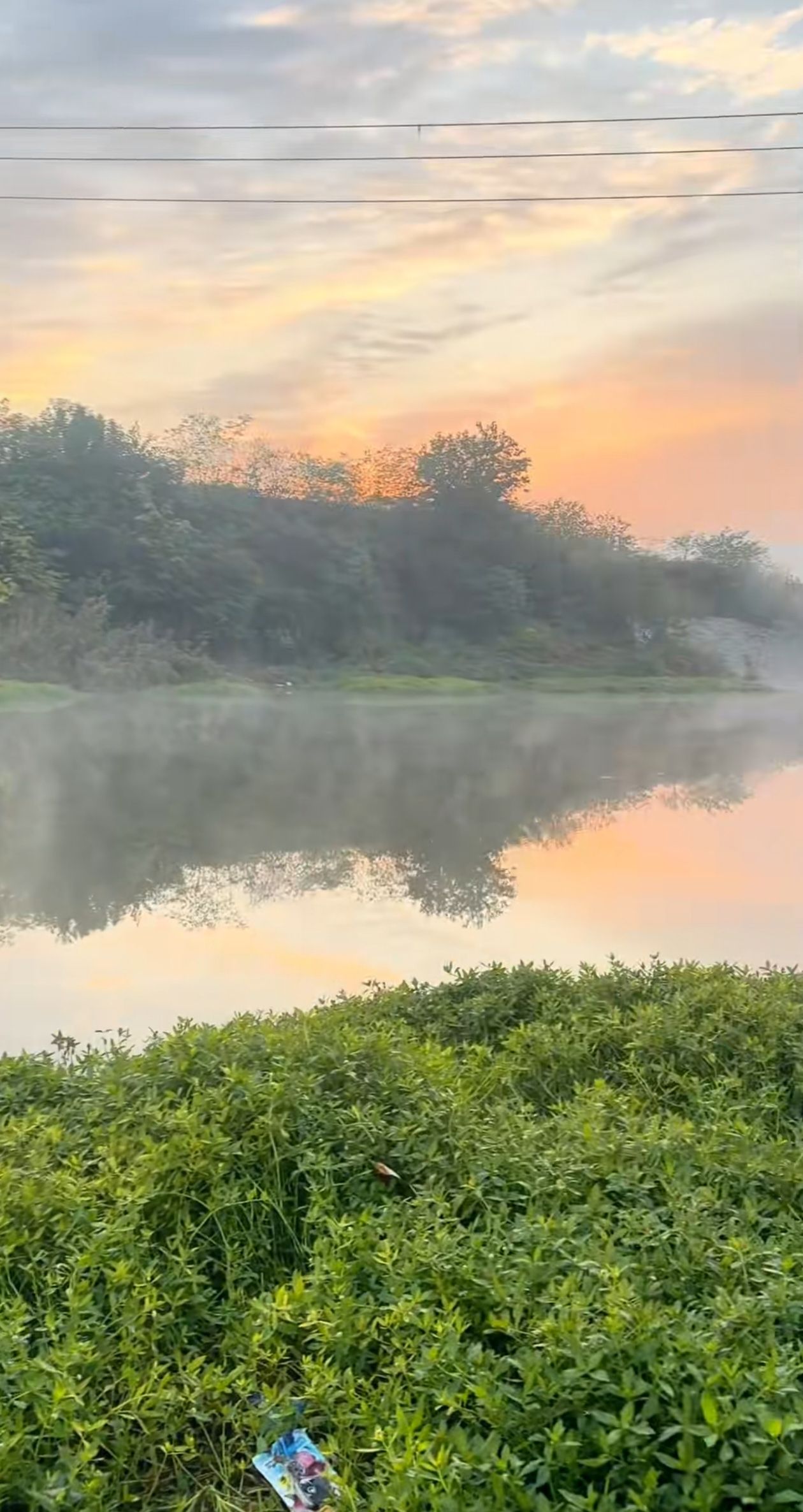 横水湿地公园旅行图片 1