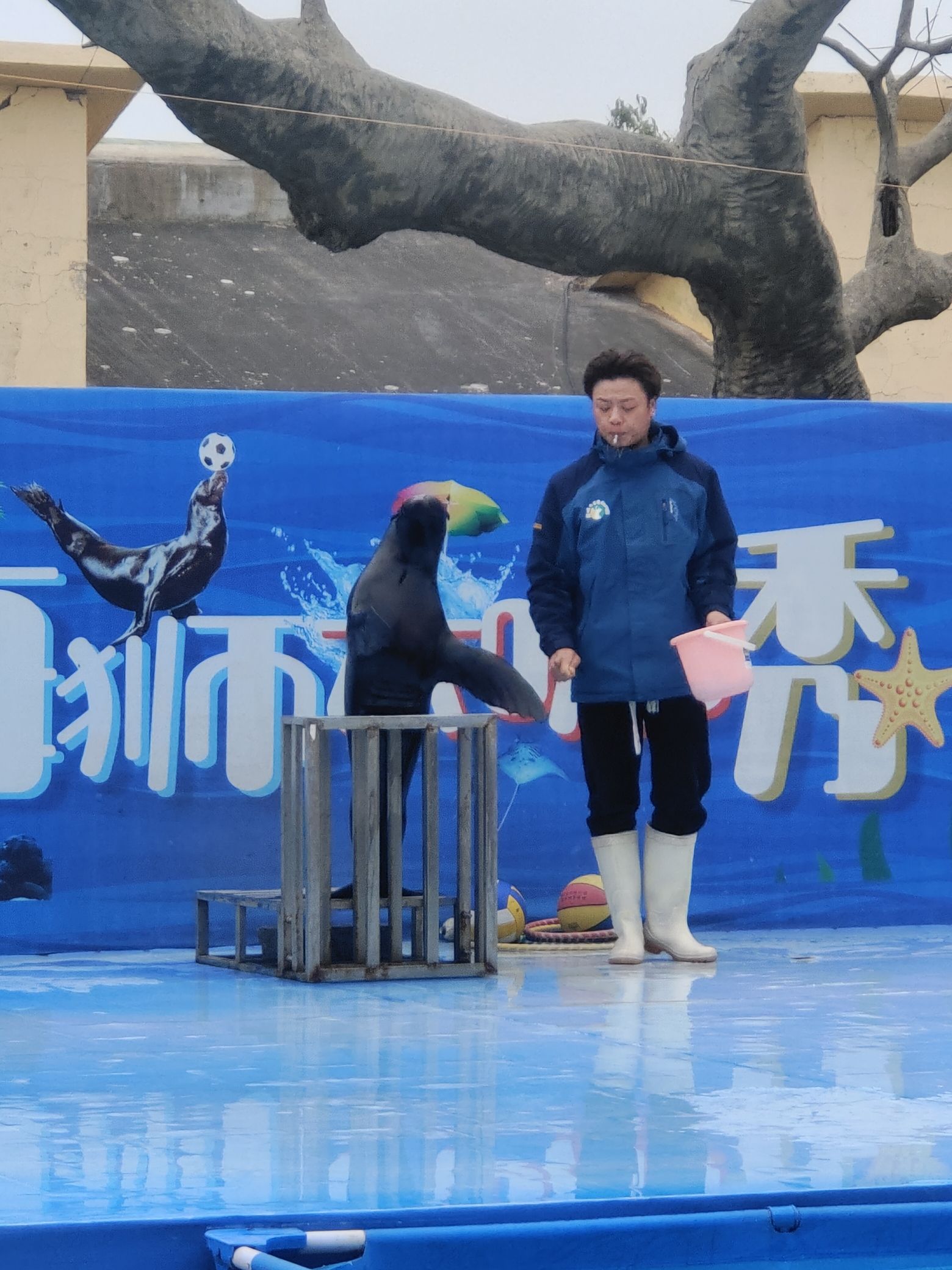盐城大丰港动物园旅行图片 3