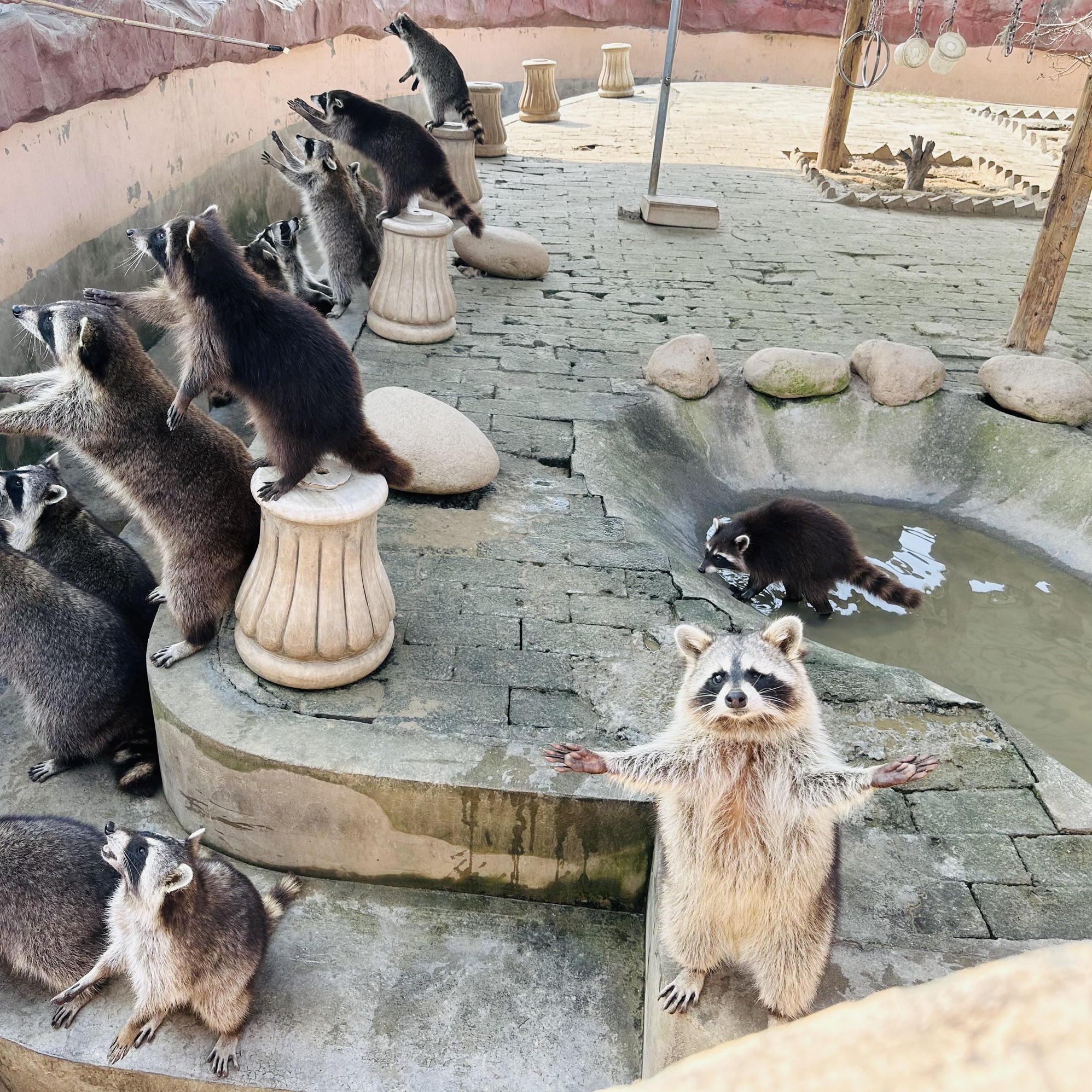 盐城大丰港动物园旅行图片 2