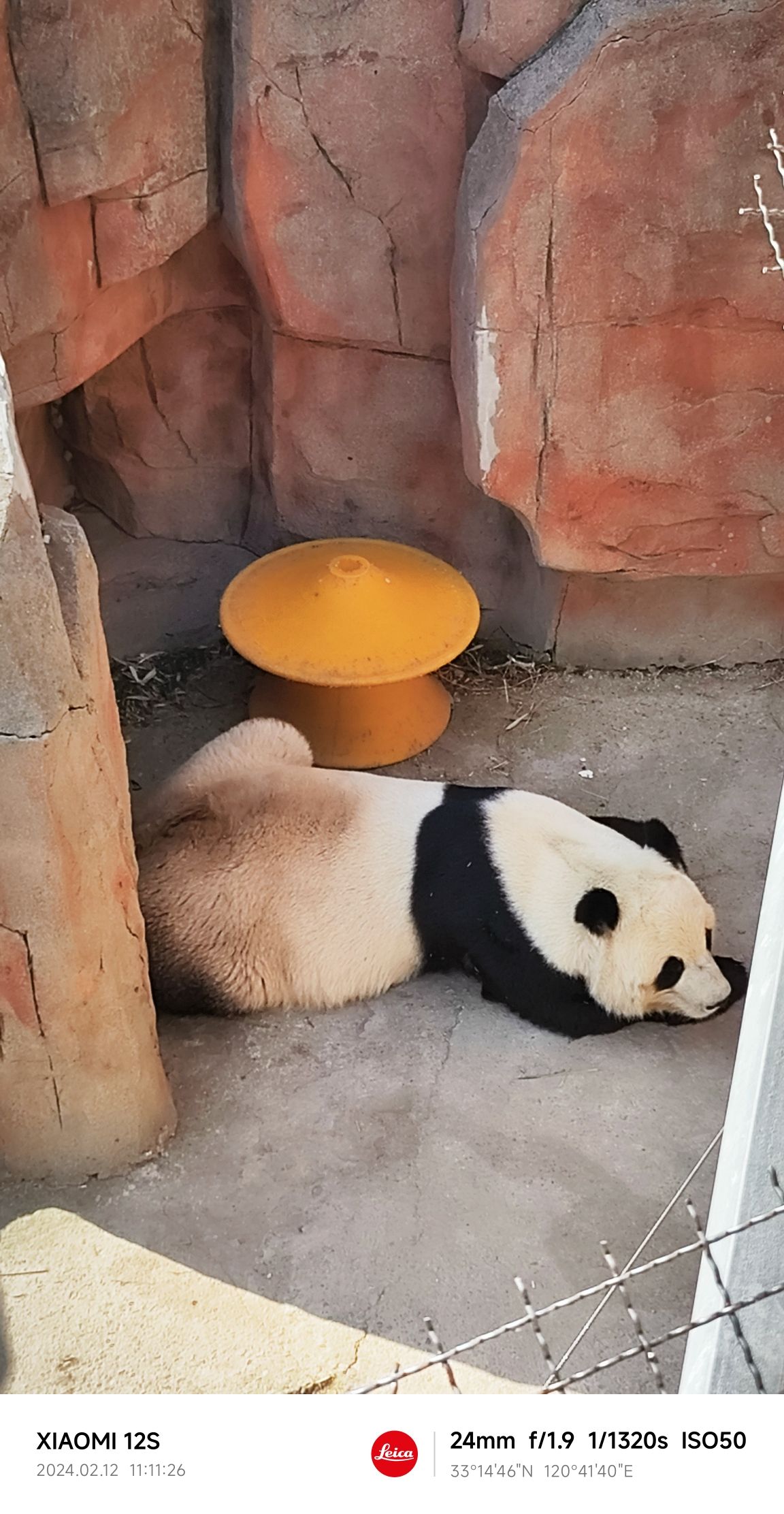 盐城大丰港动物园旅行图片 1