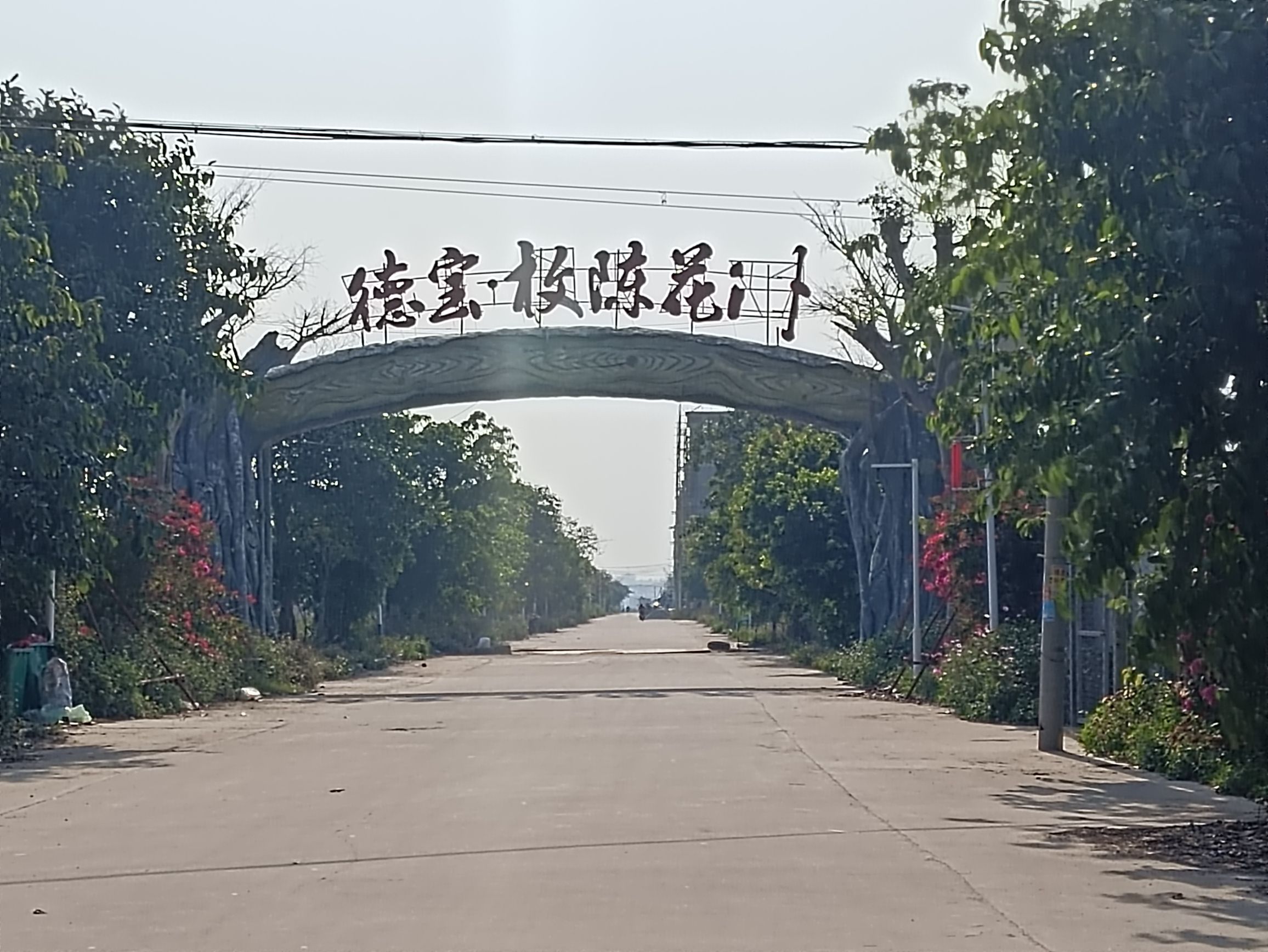 德宝·枚陈花洲