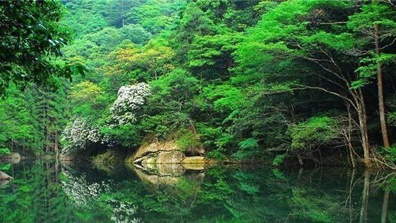 大铜官山公园旅行图片 1