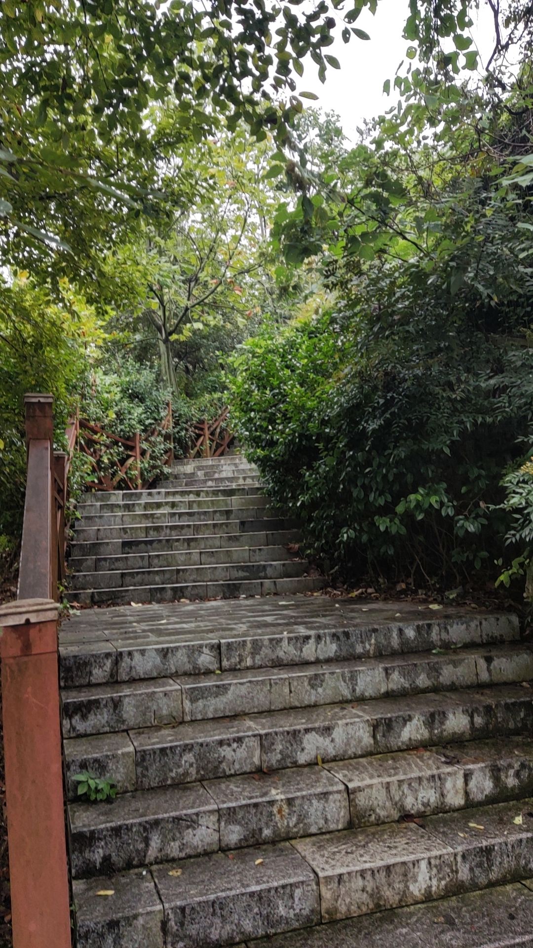 大铜官山公园旅行图片 3