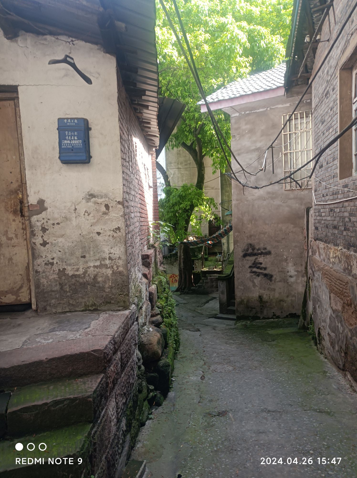 蔡家老街旅行图片 3