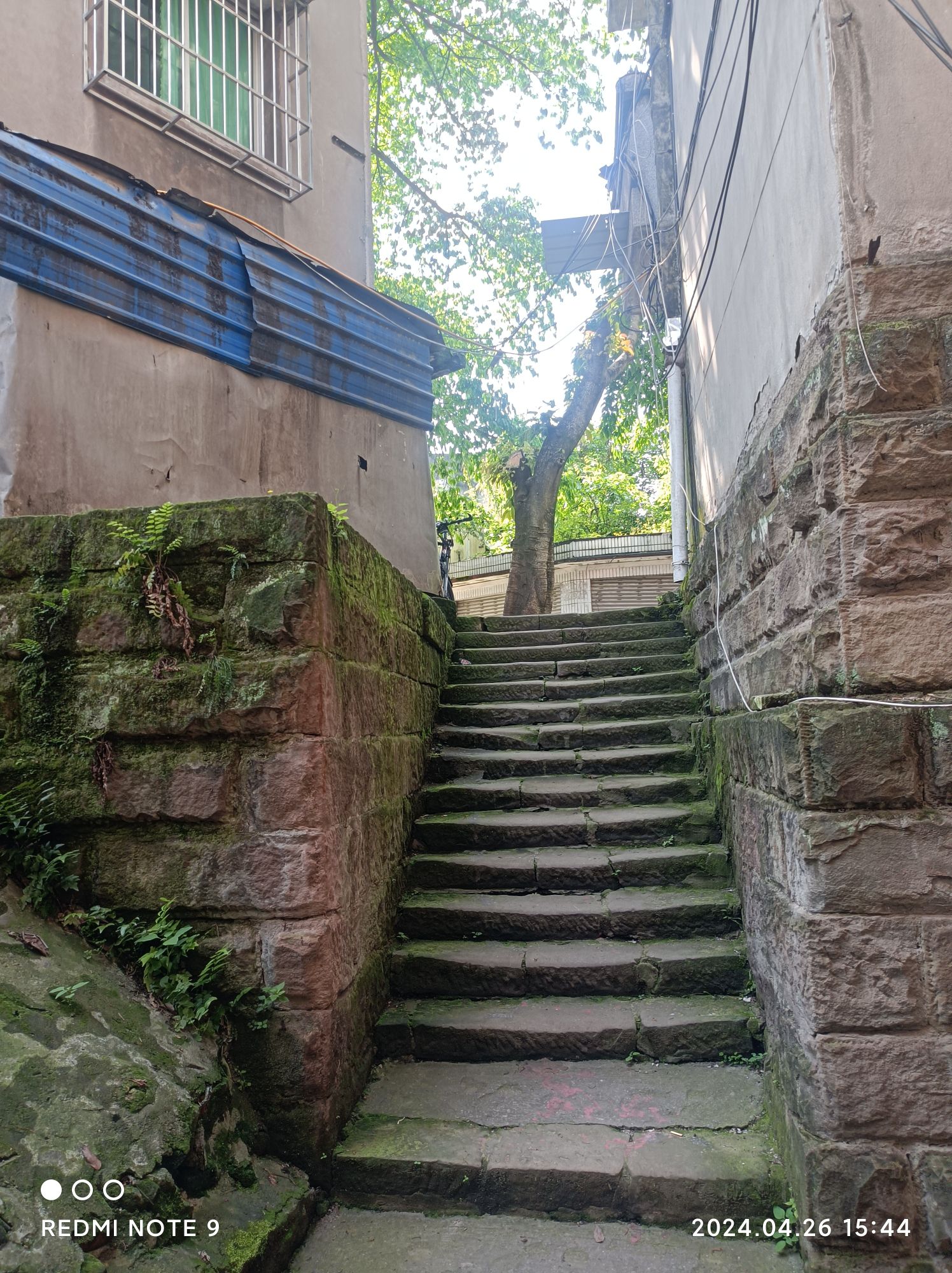 蔡家老街旅行图片 2