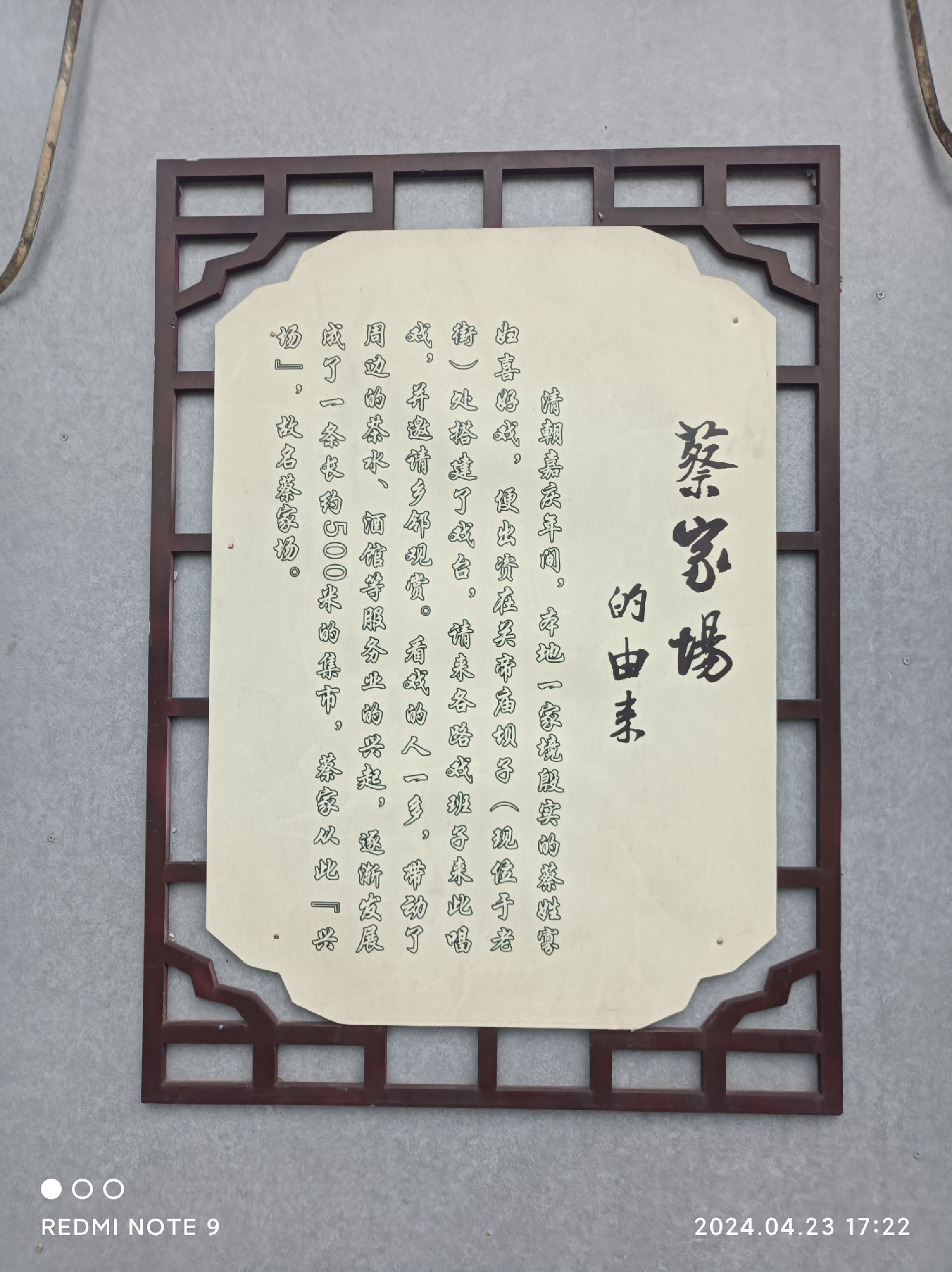 蔡家老街旅行图片 1