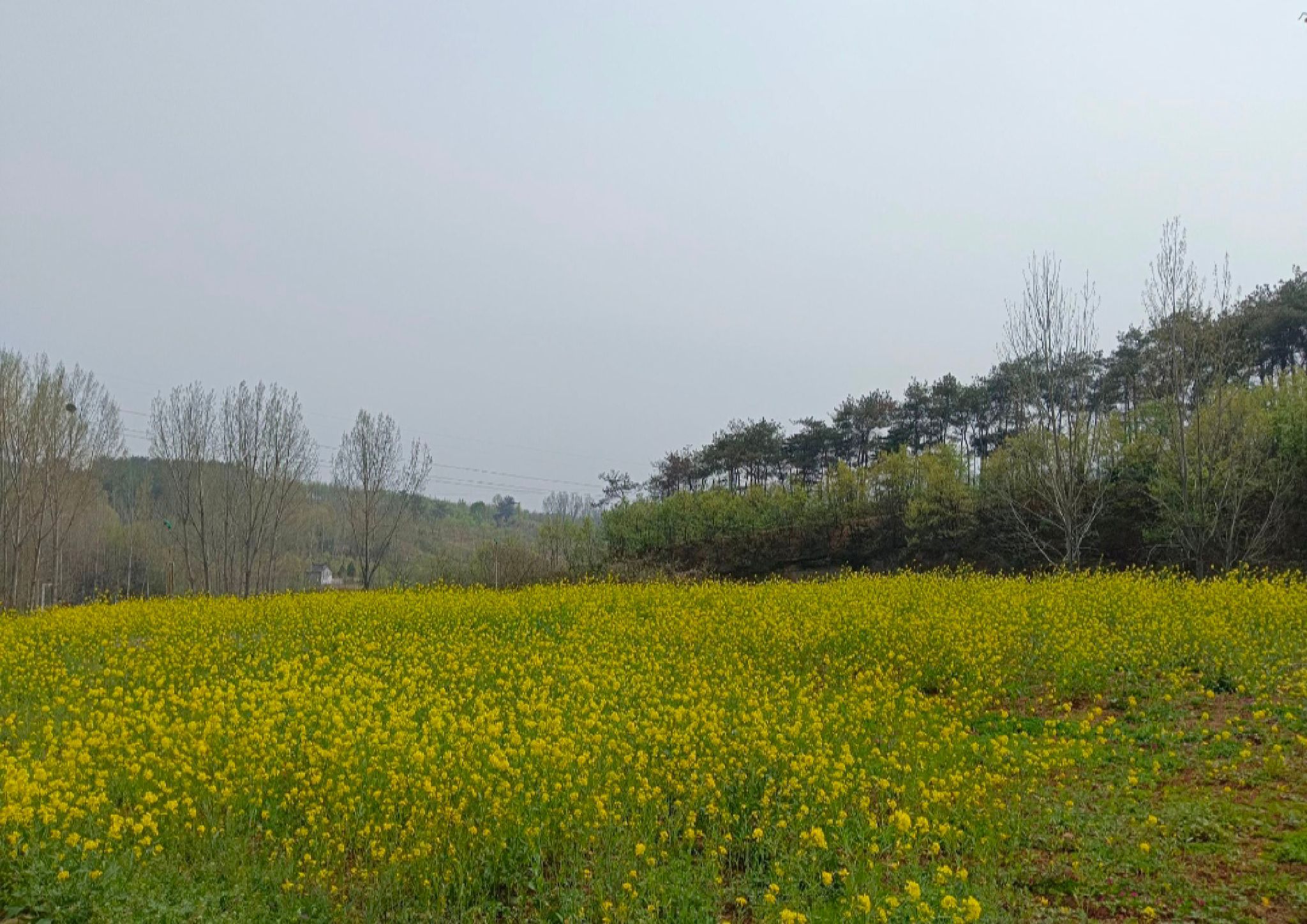 七彩沟景区旅行图片 1