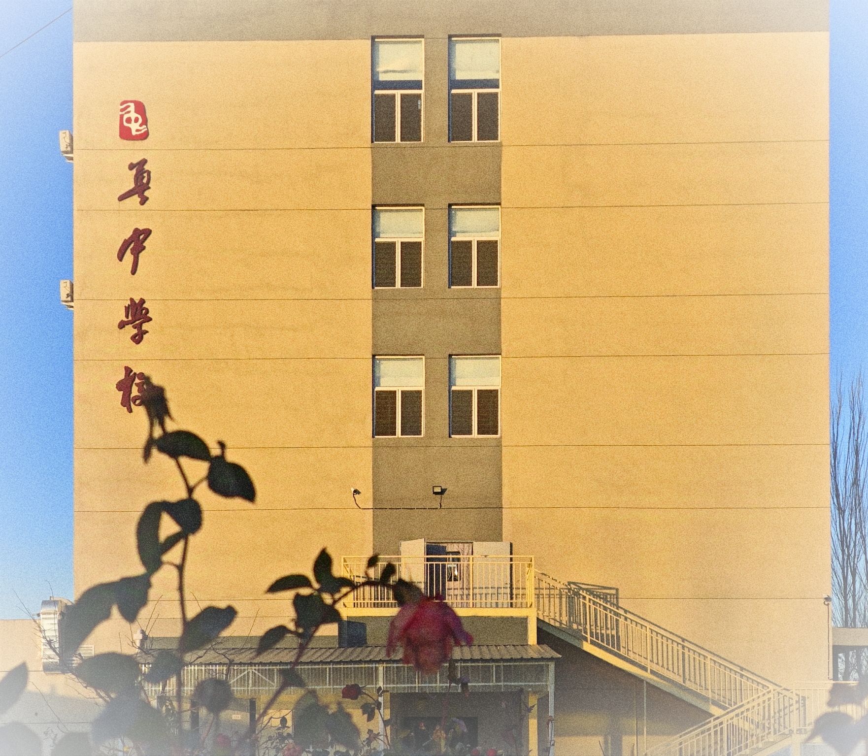 奠中学校(龙湖校区)