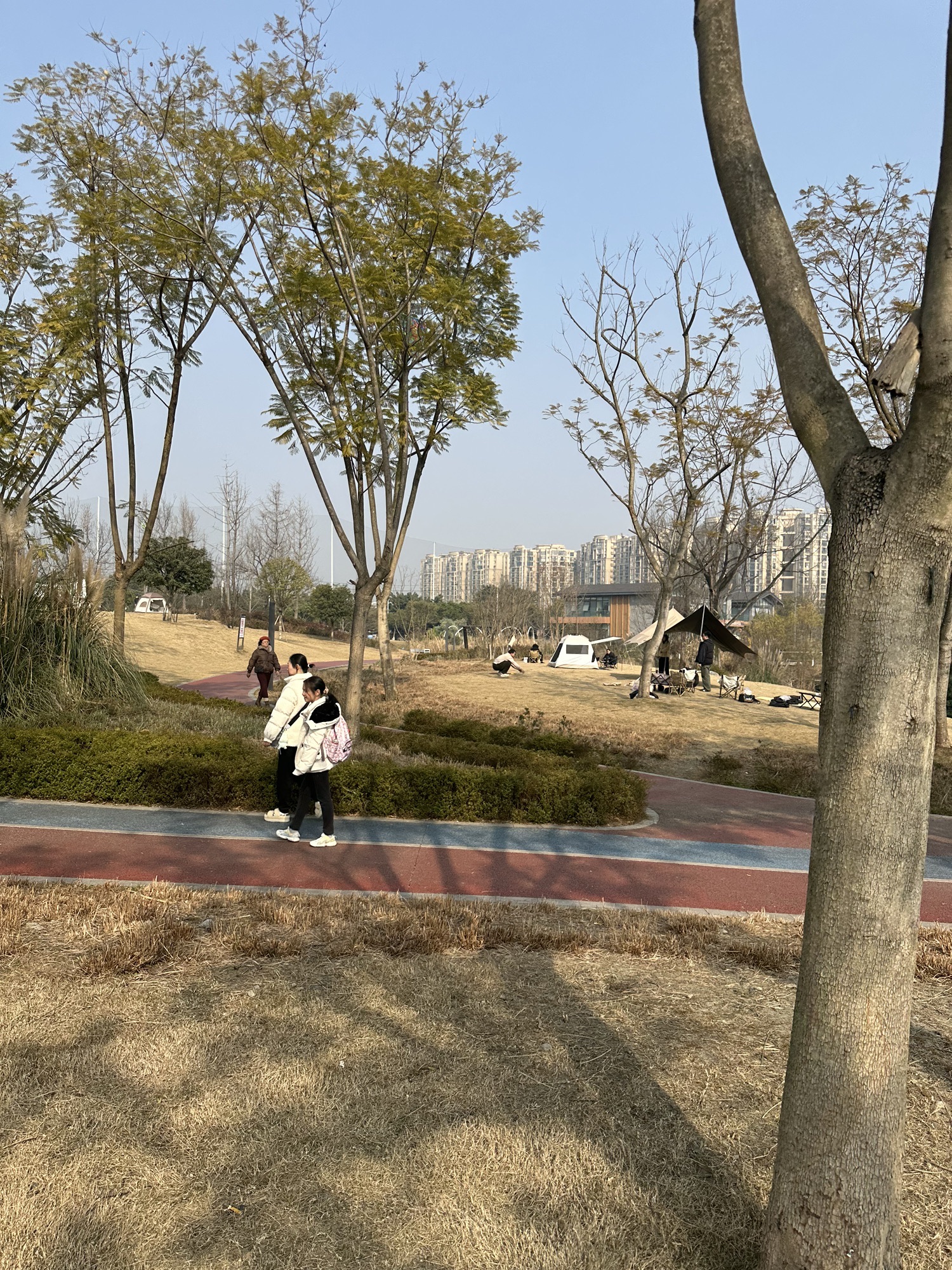 金泉运动公园旅行图片 1