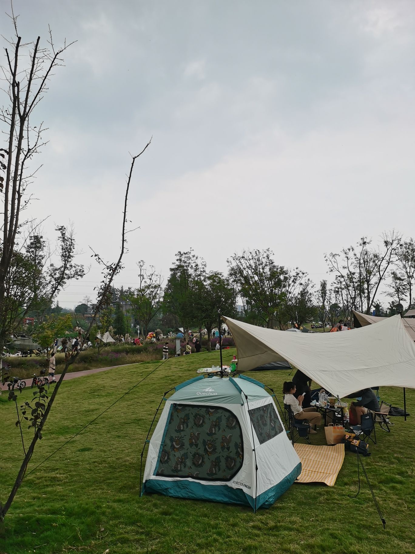 金泉运动公园旅行图片 3