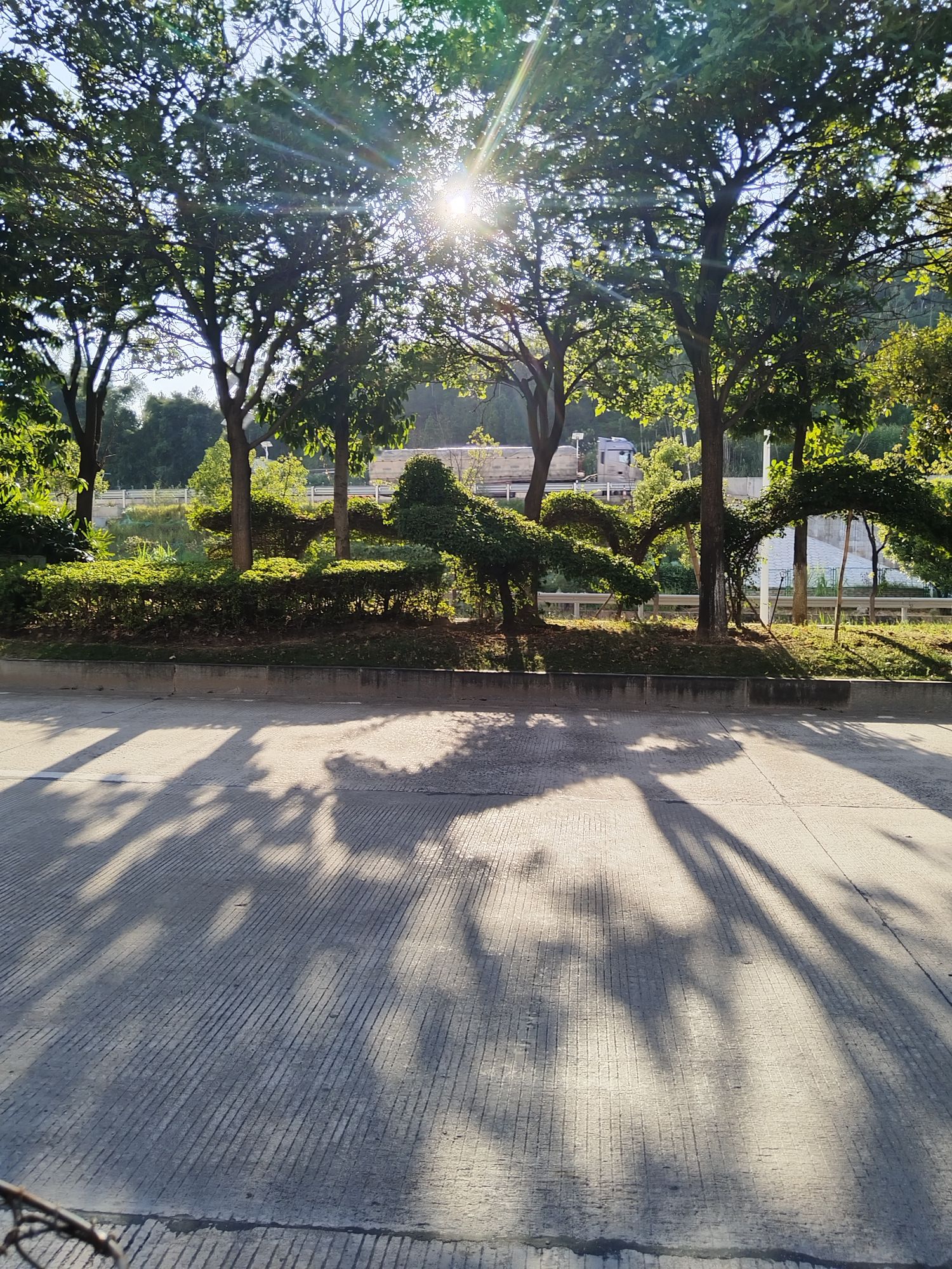 城北公园旅行图片 3