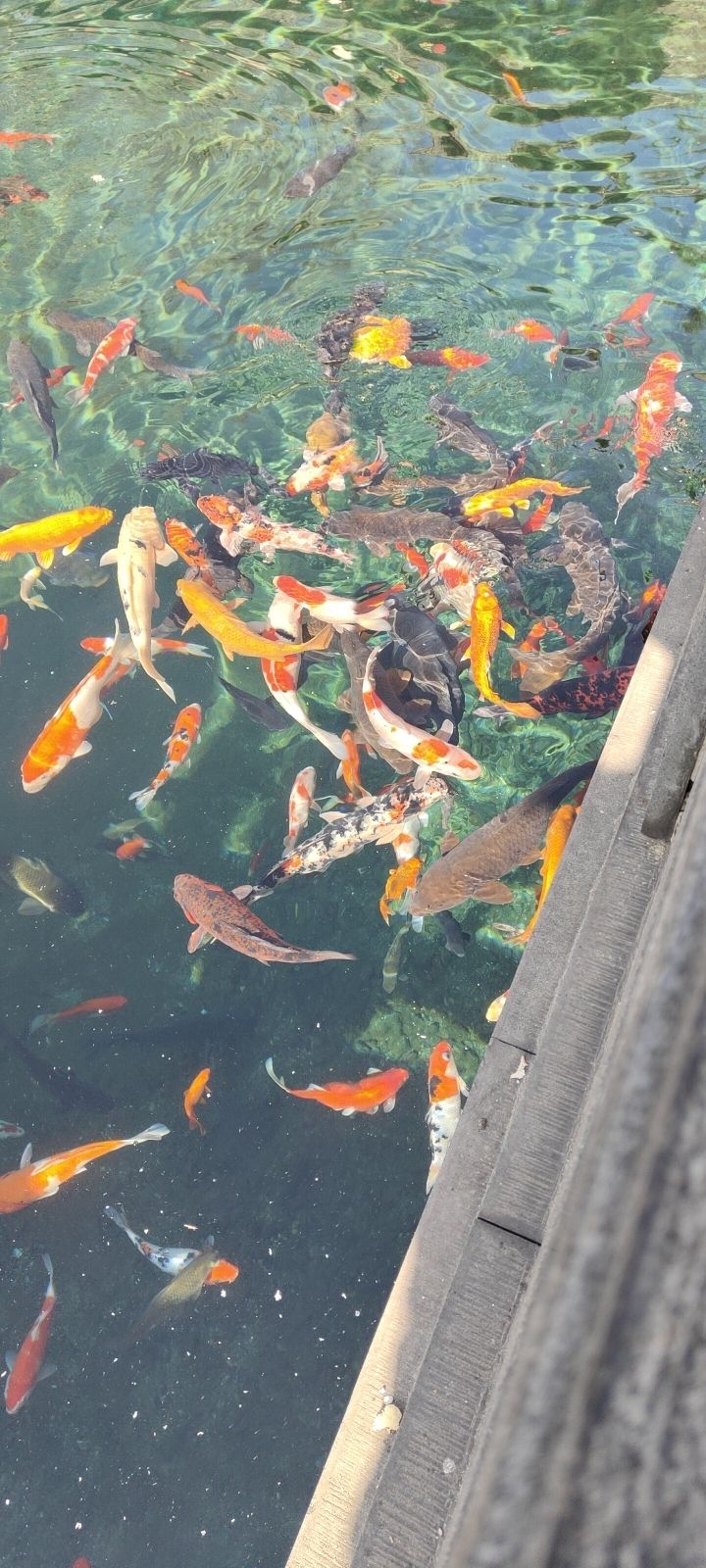 百脉泉酒文化旅游区旅行图片 2