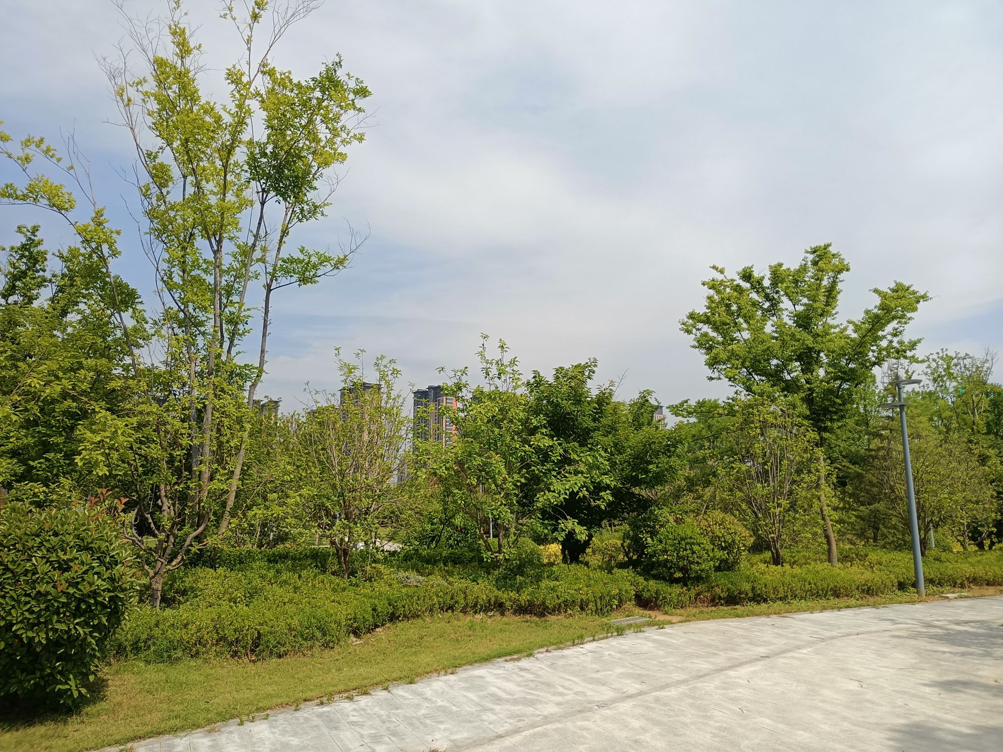 金水河城市文化公园旅行图片 2