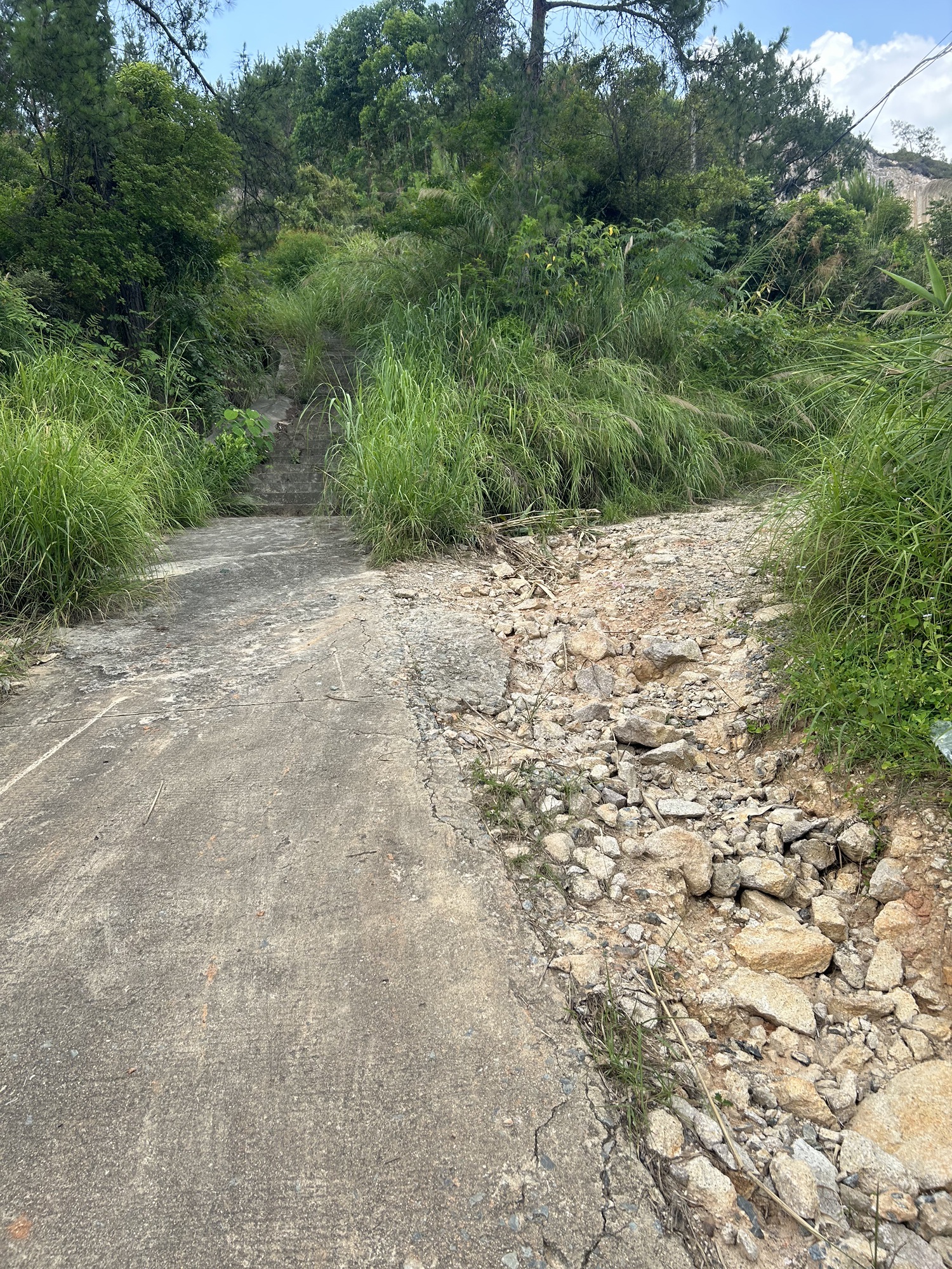 岑溪大业镇柱状石地质公园旅行图片 2