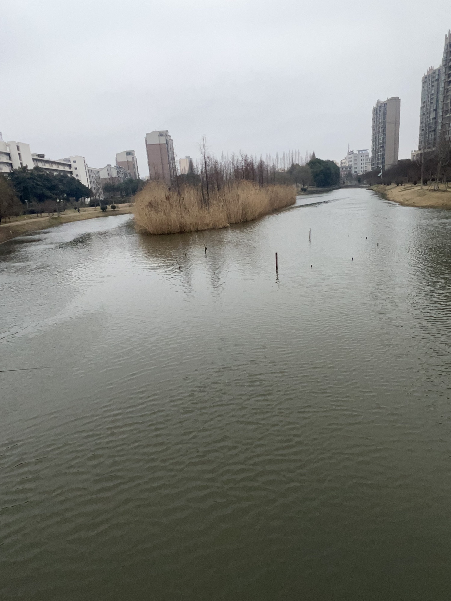 芦塘生态公园旅行图片 3