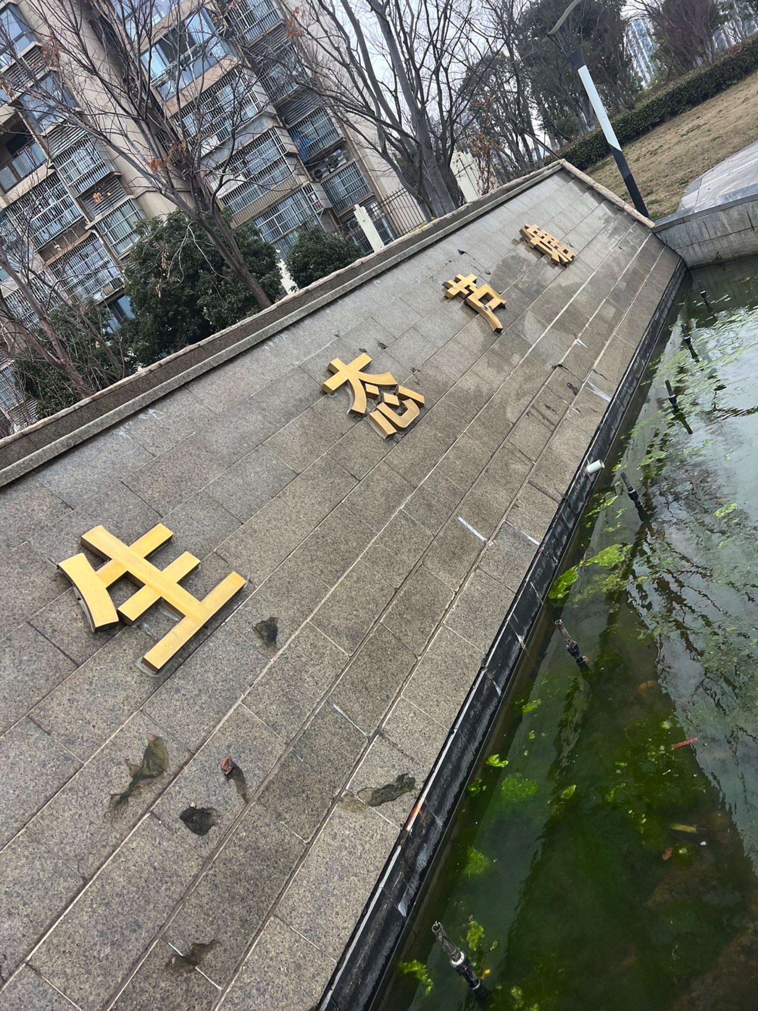 芦塘生态公园旅行图片 1