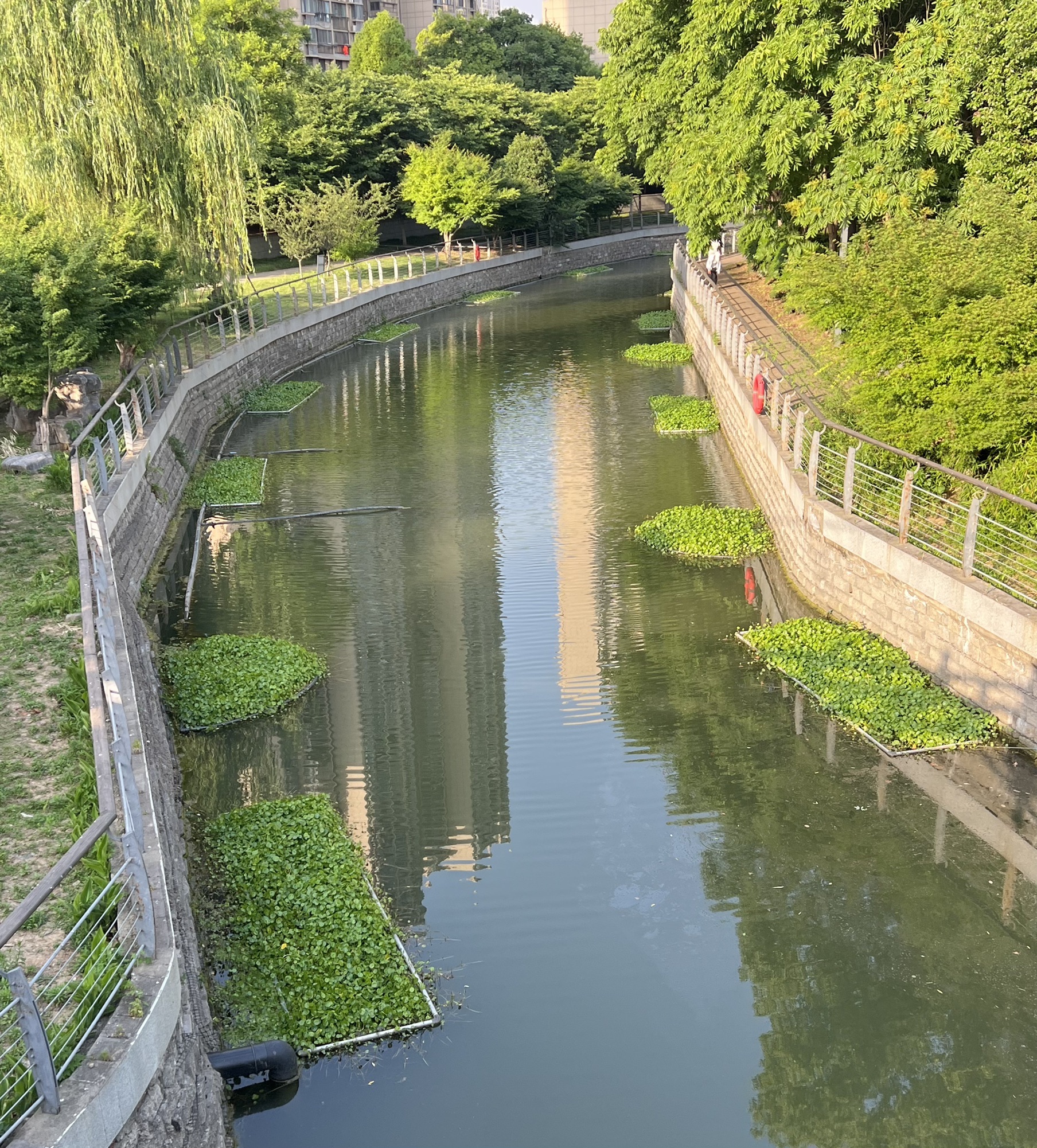 芦塘生态公园旅行图片 2