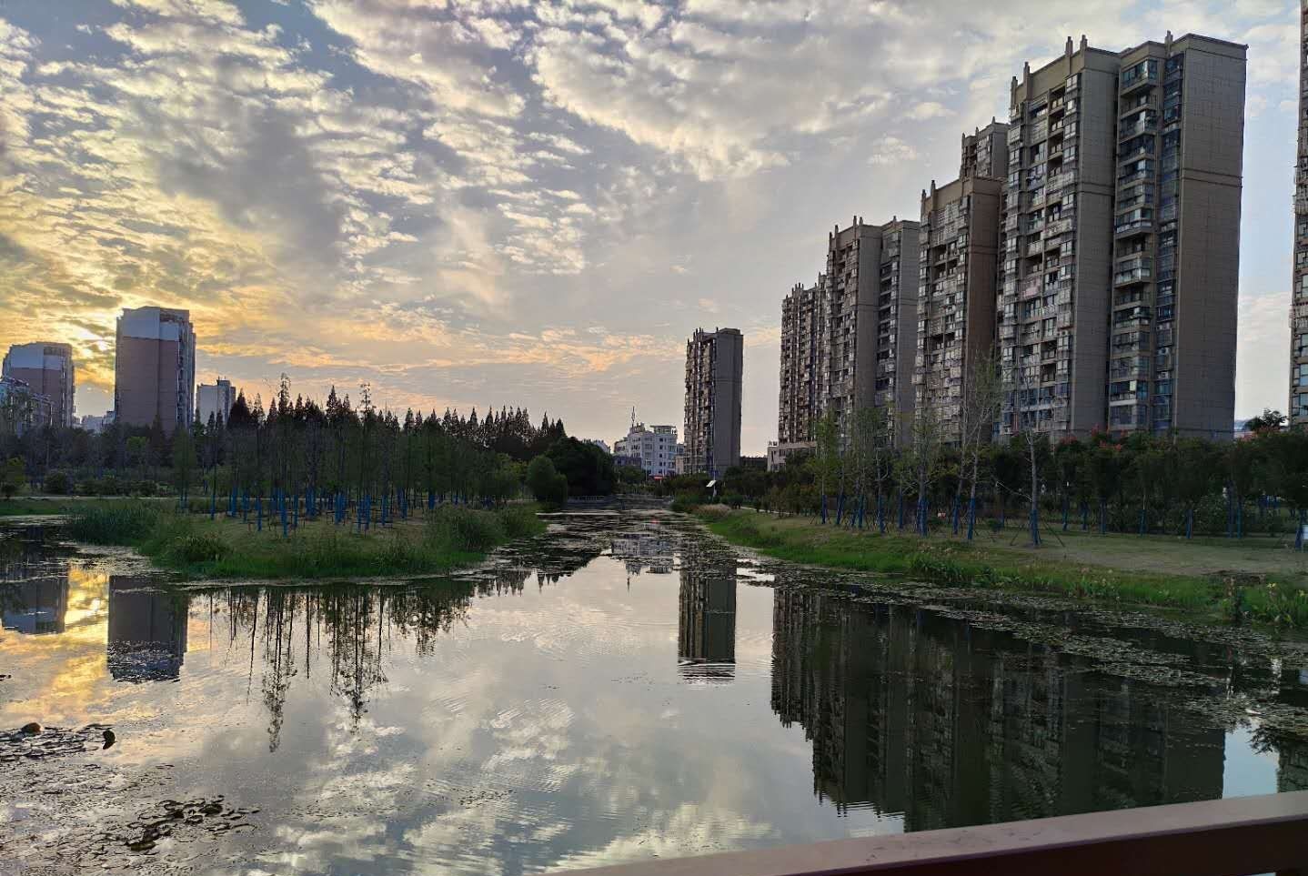 芦塘生态公园旅行图片 1