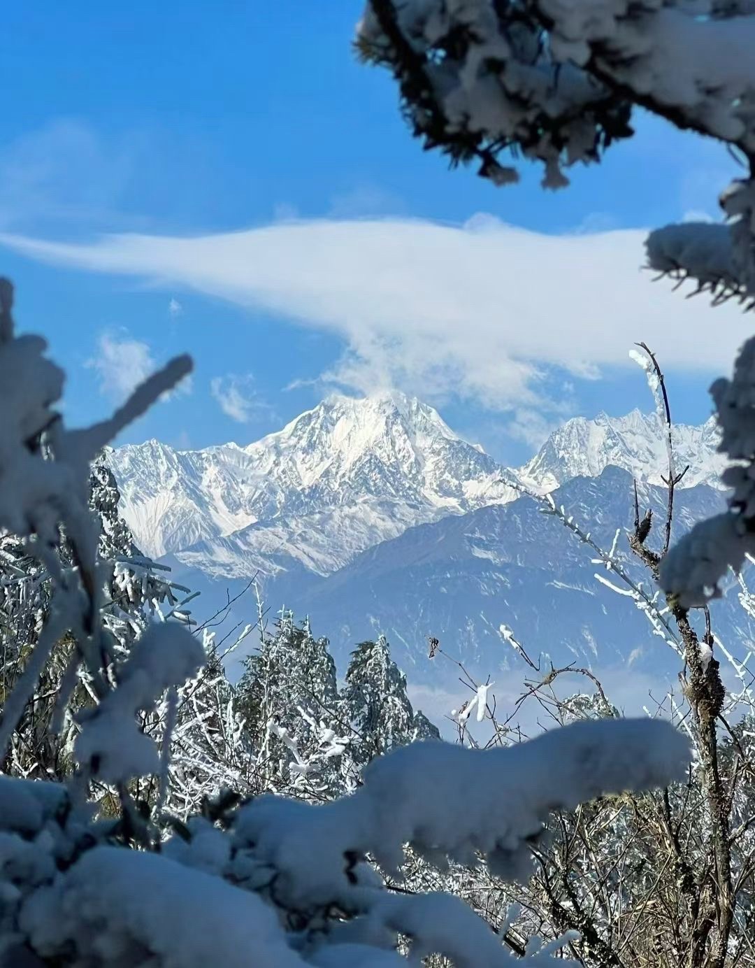 王岗坪旅游景区旅行图片 3