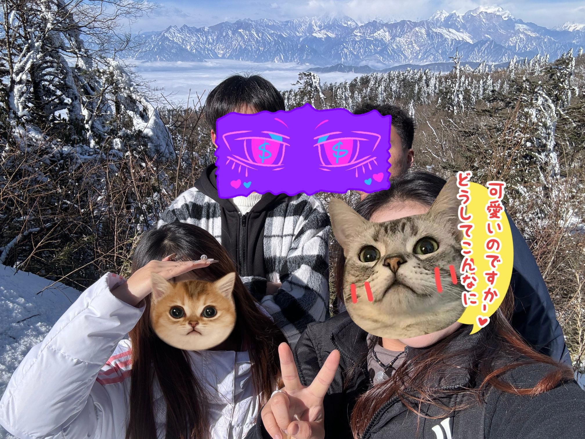 王岗坪旅游景区旅行图片 2
