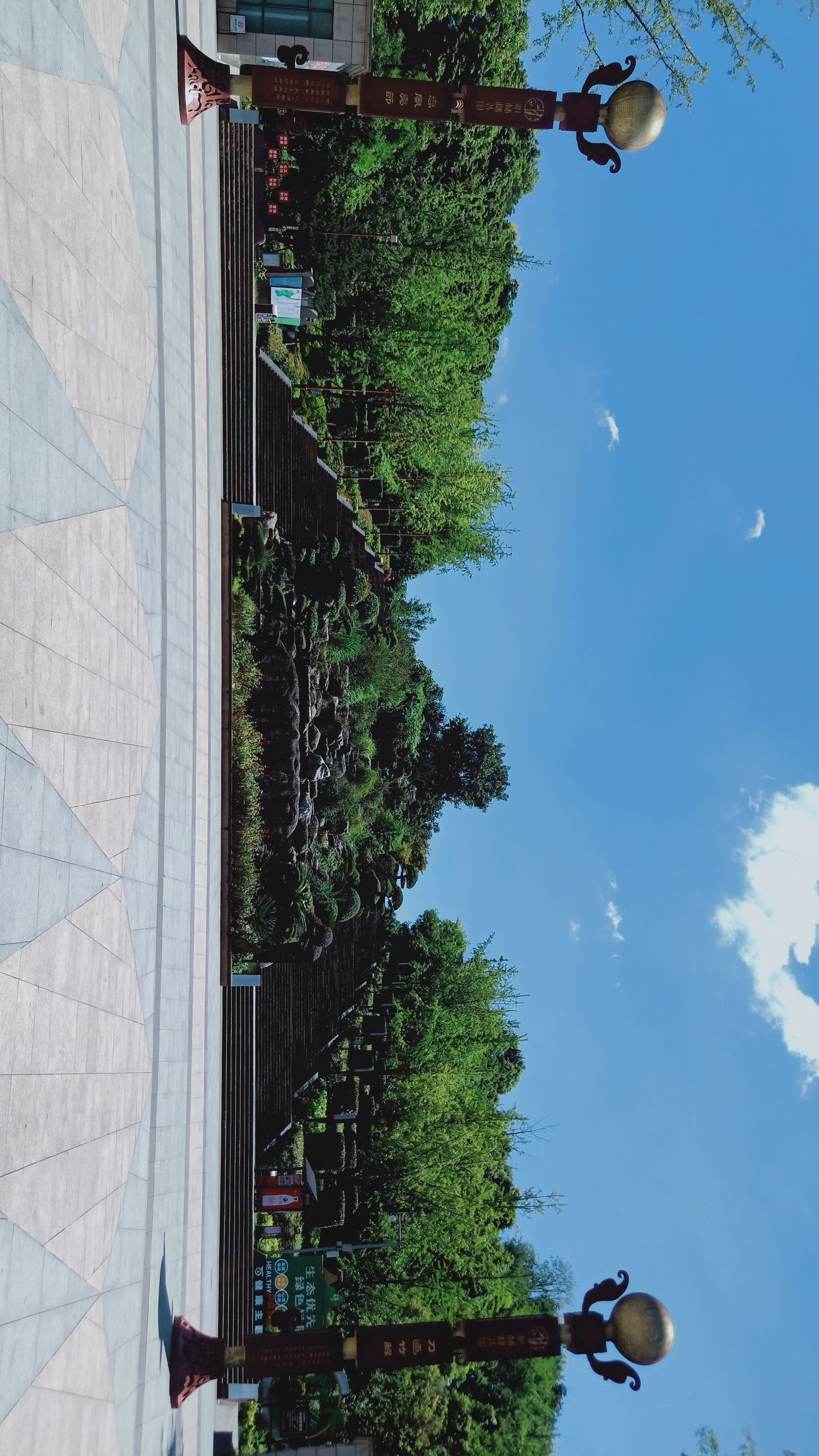 楠竹林公园旅行图片 1