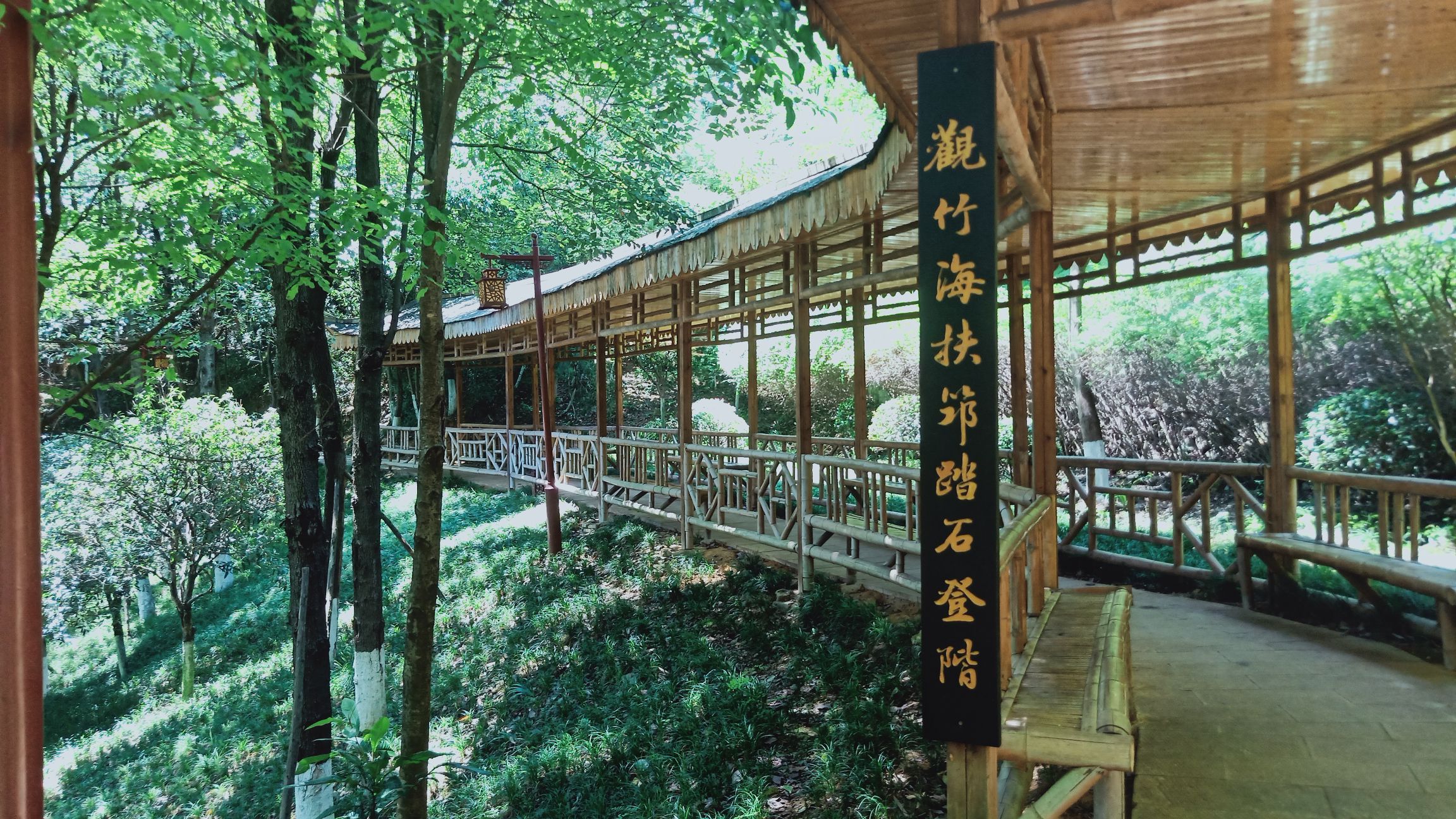 楠竹林公园旅行图片 2