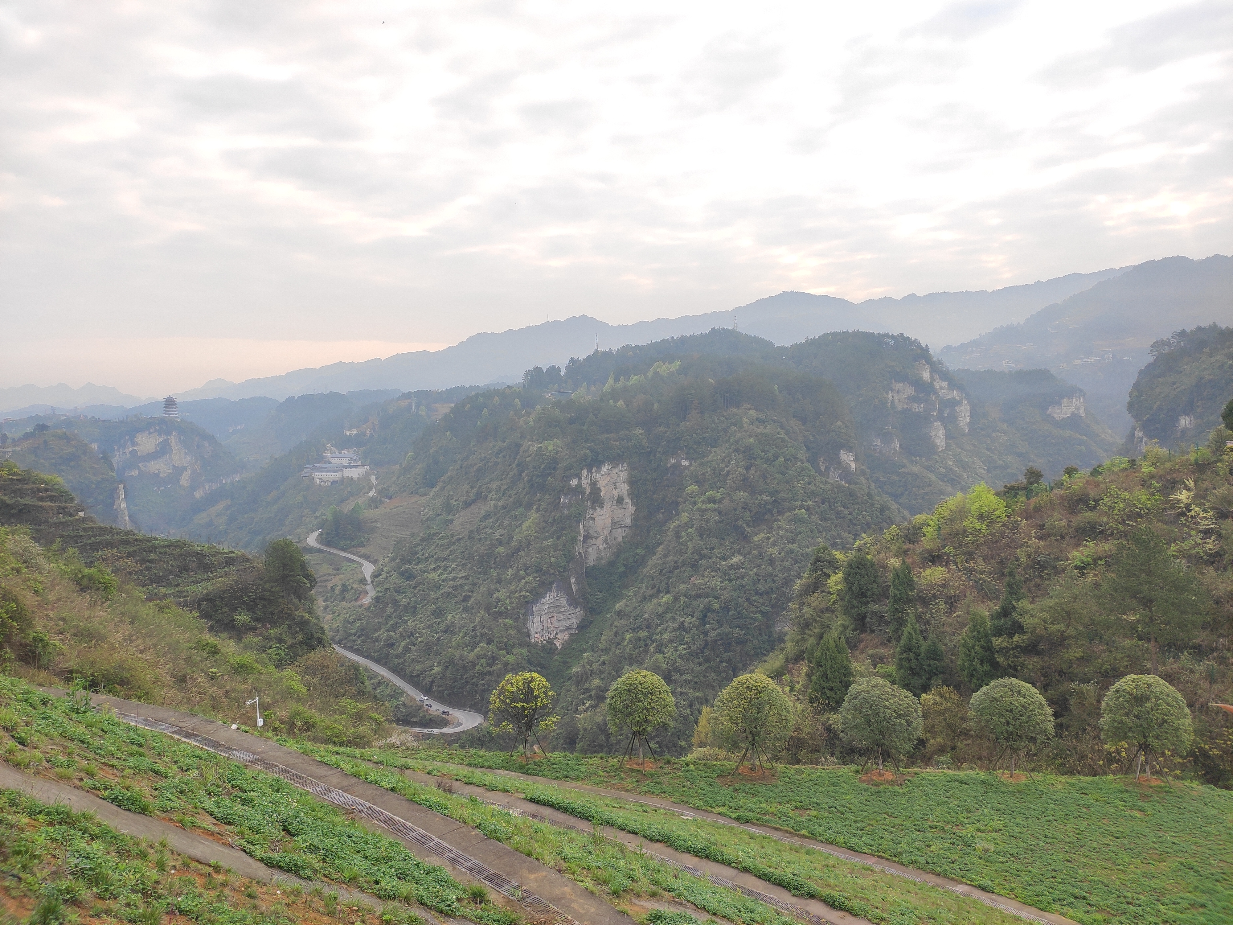 楠竹林公园旅行图片 1