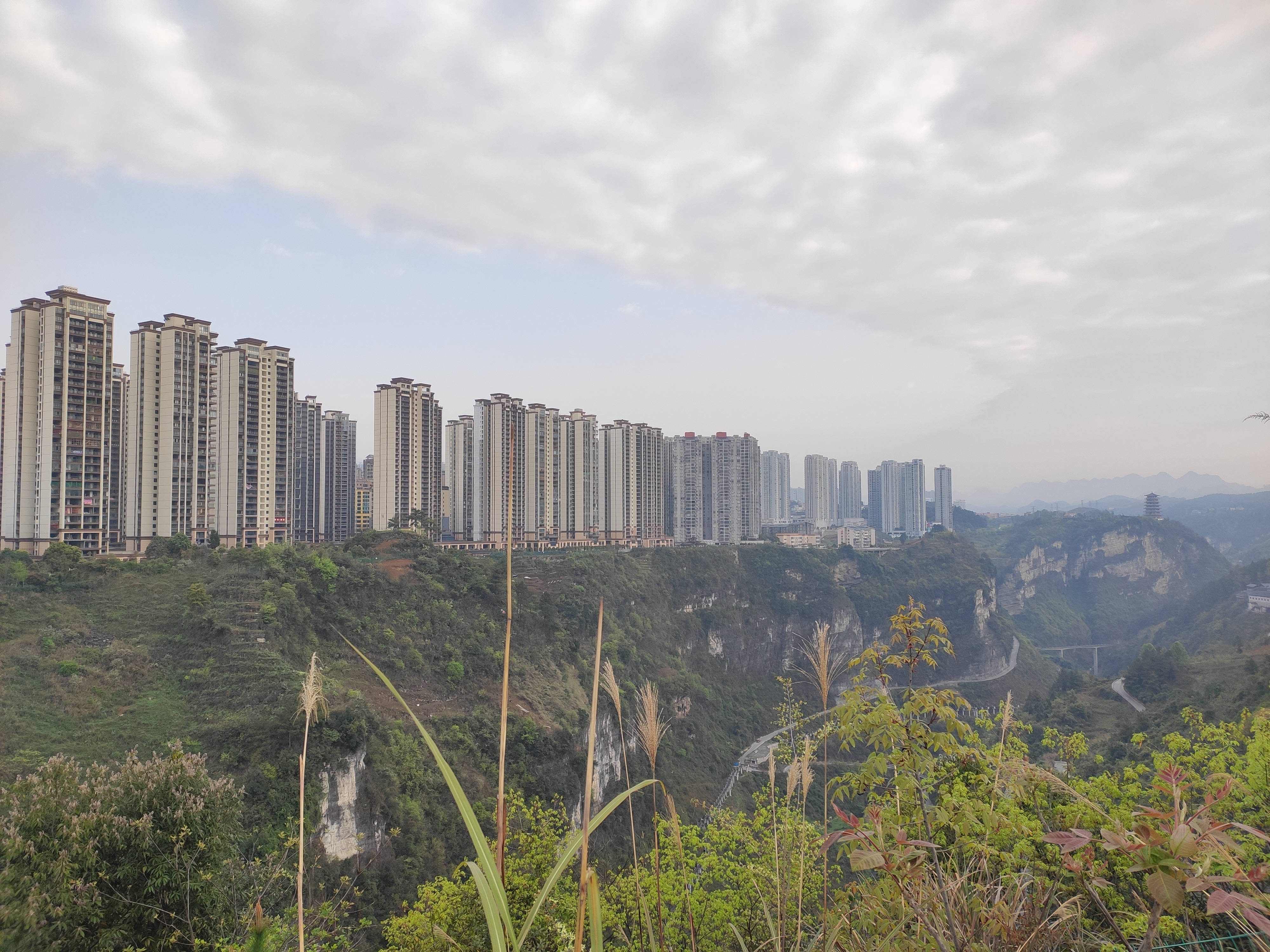 楠竹林公园旅行图片 2