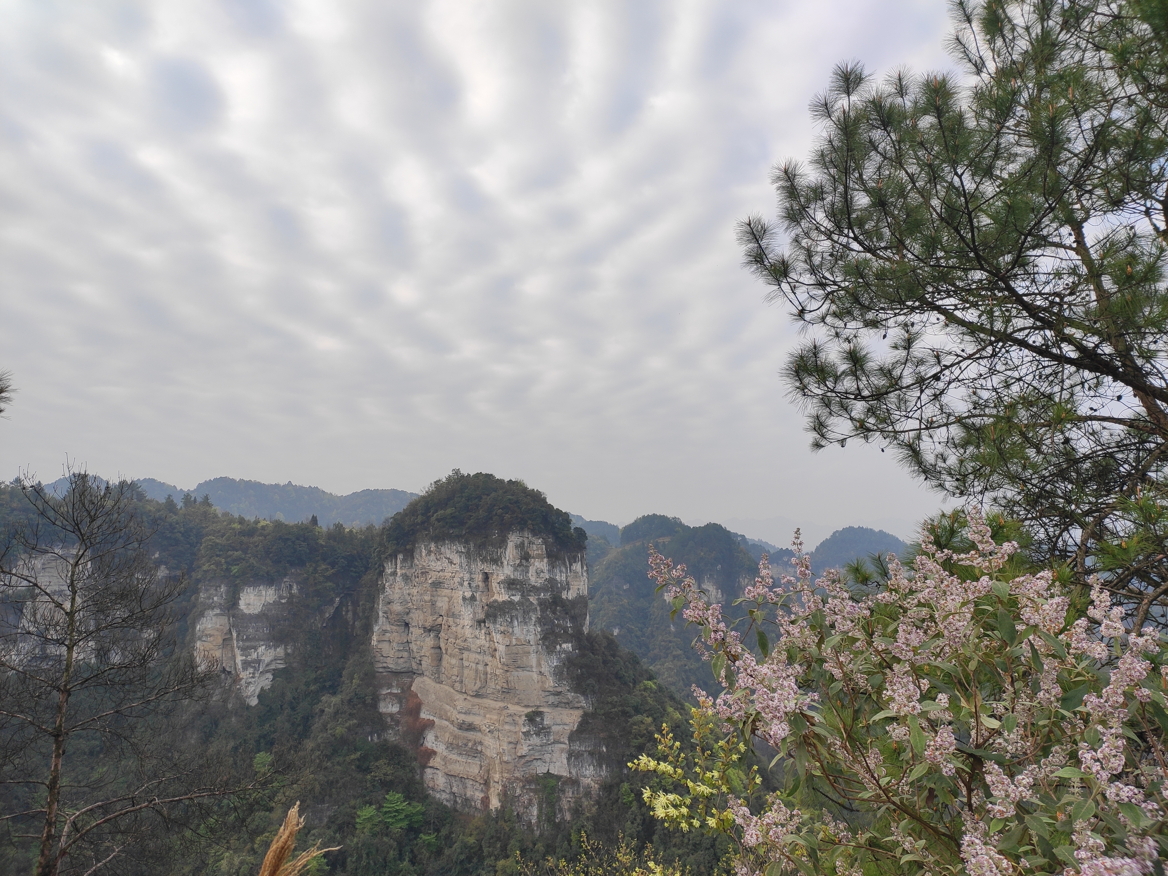 楠竹林公园旅行图片 3