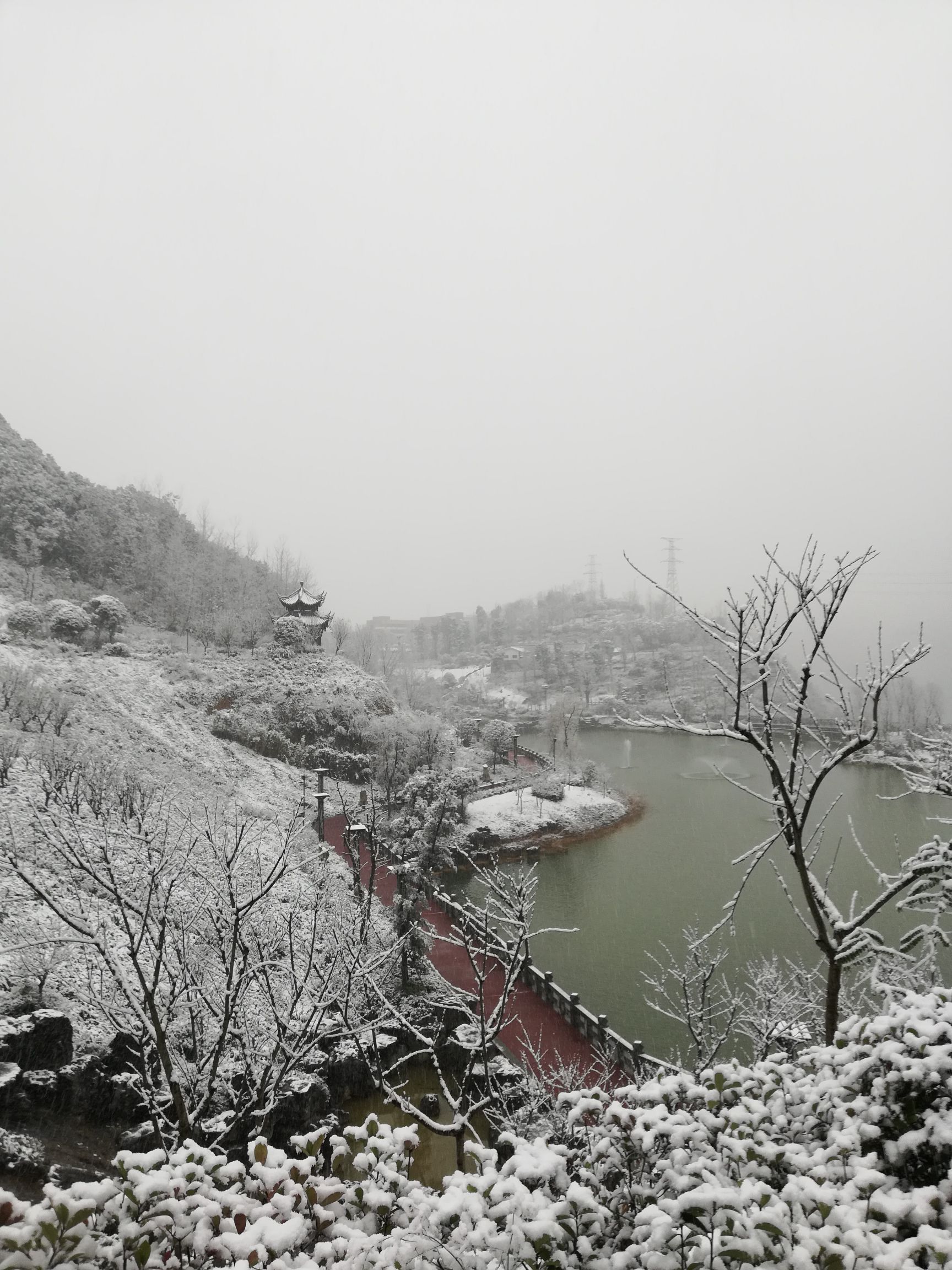 楠竹林公园旅行图片 2