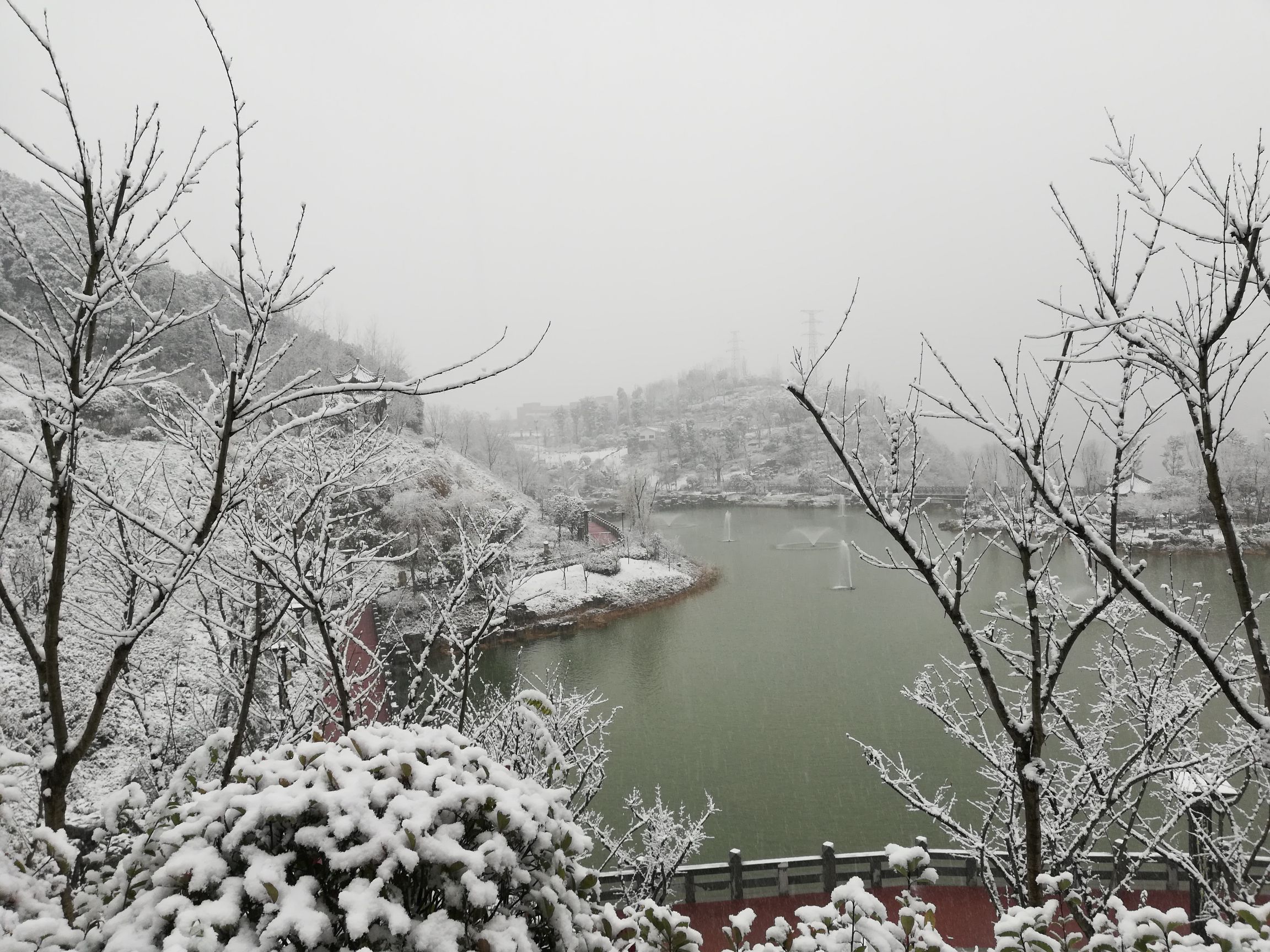 楠竹林公园旅行图片 1