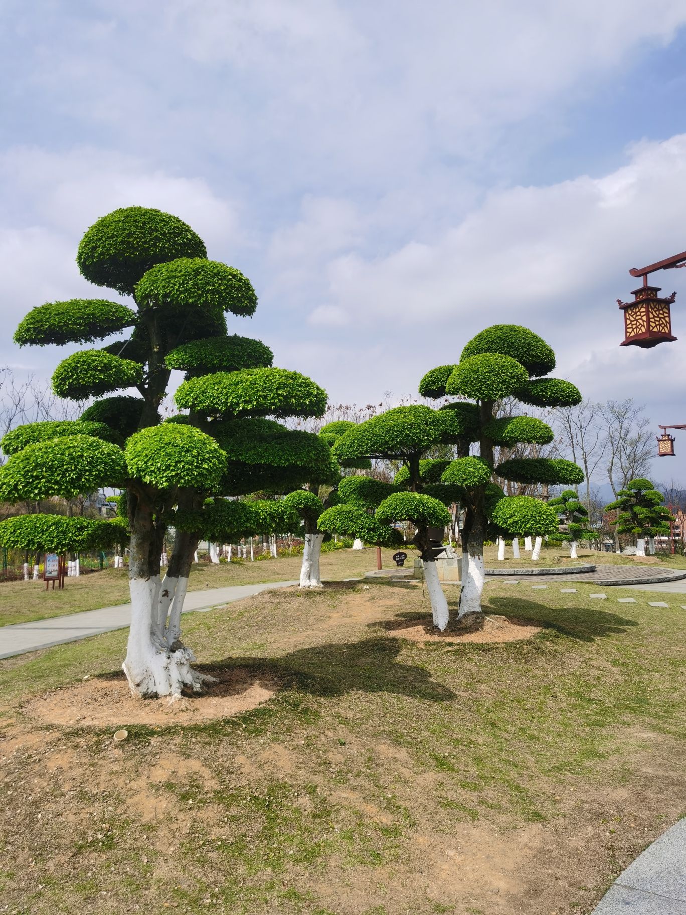 楠竹林公园旅行图片 3