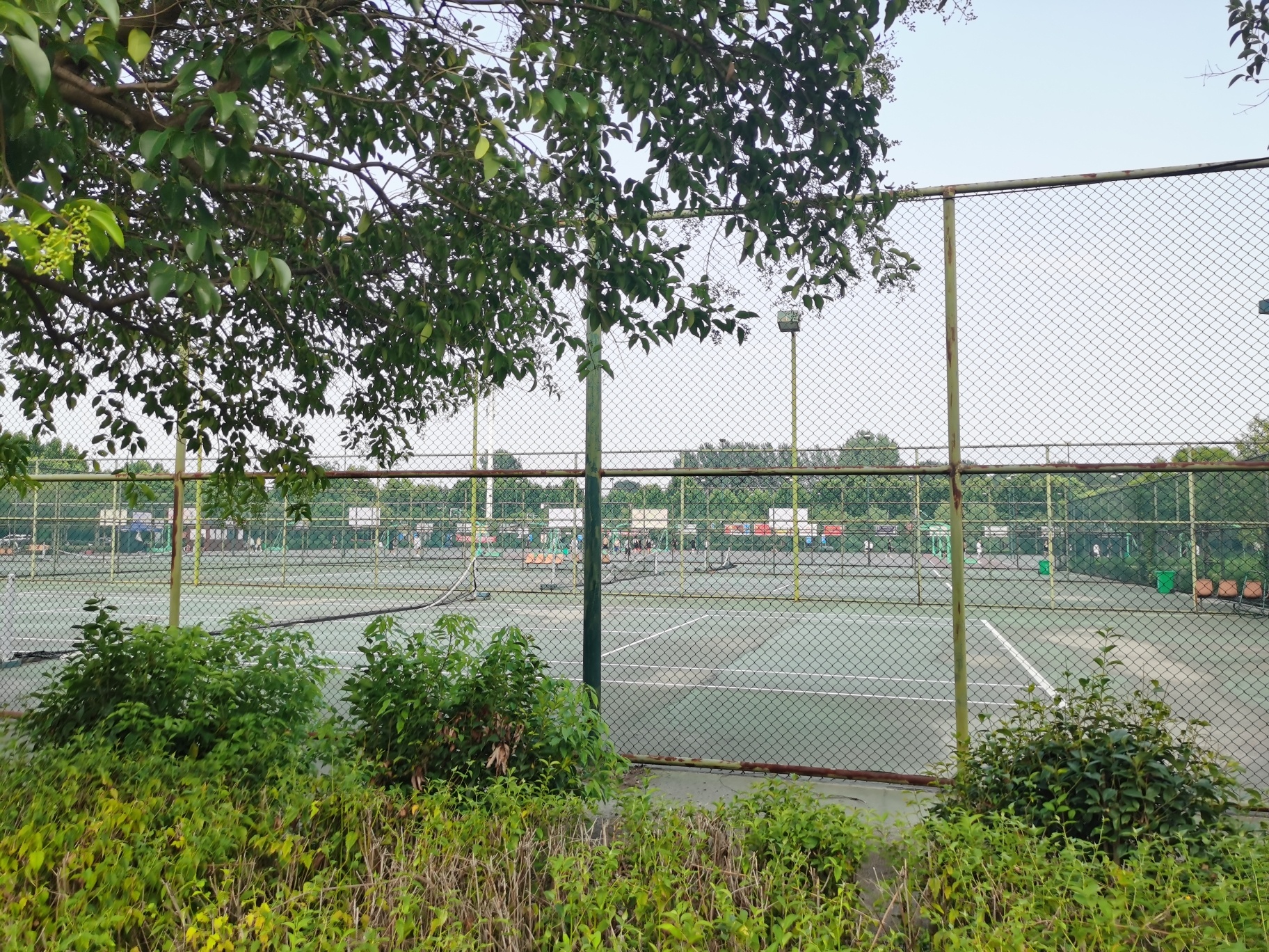 南阳市第二体育健身中心-篮球场