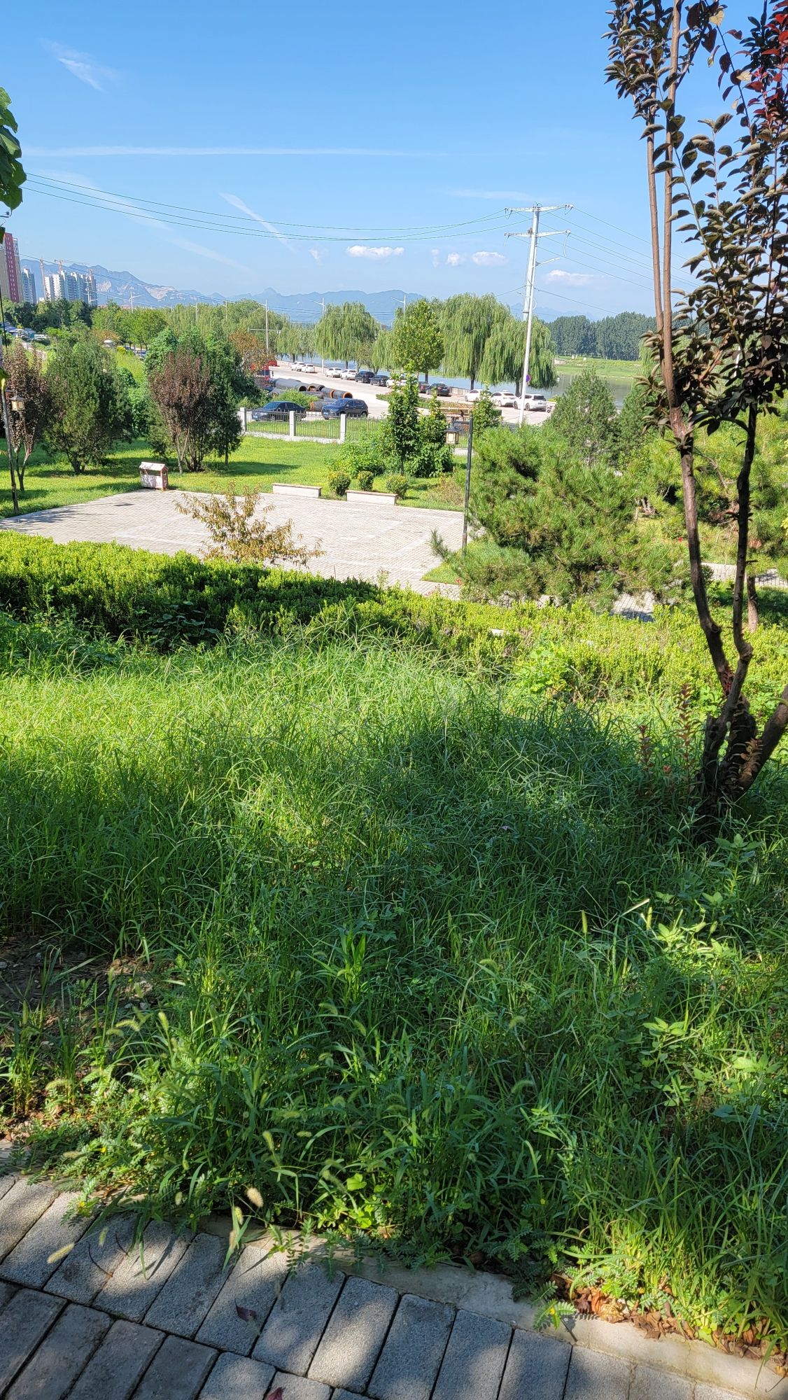 平山县商代遗址公园旅行图片 3
