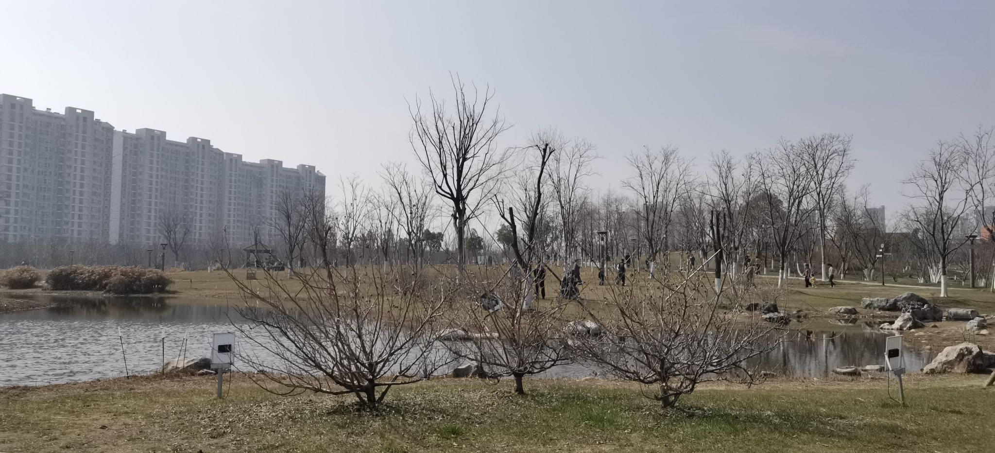 市民公园旅行图片 1