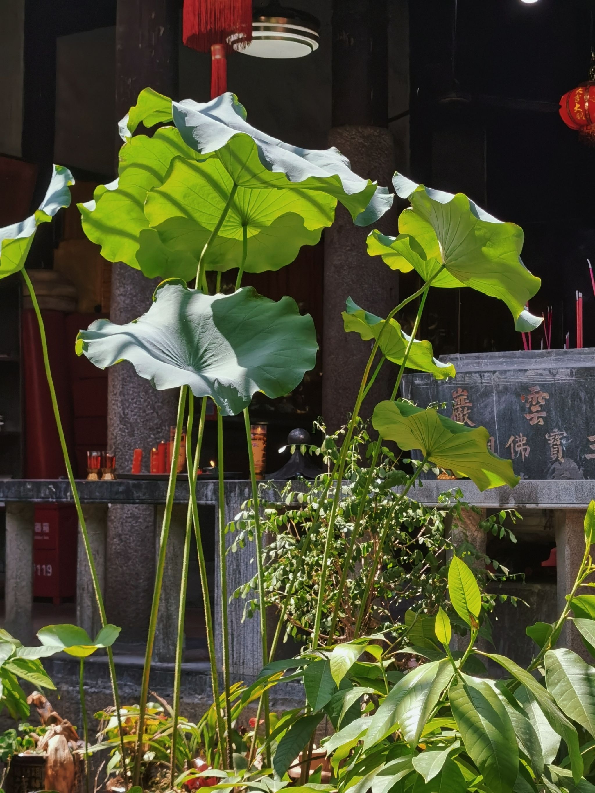 西山岩旅行图片 1
