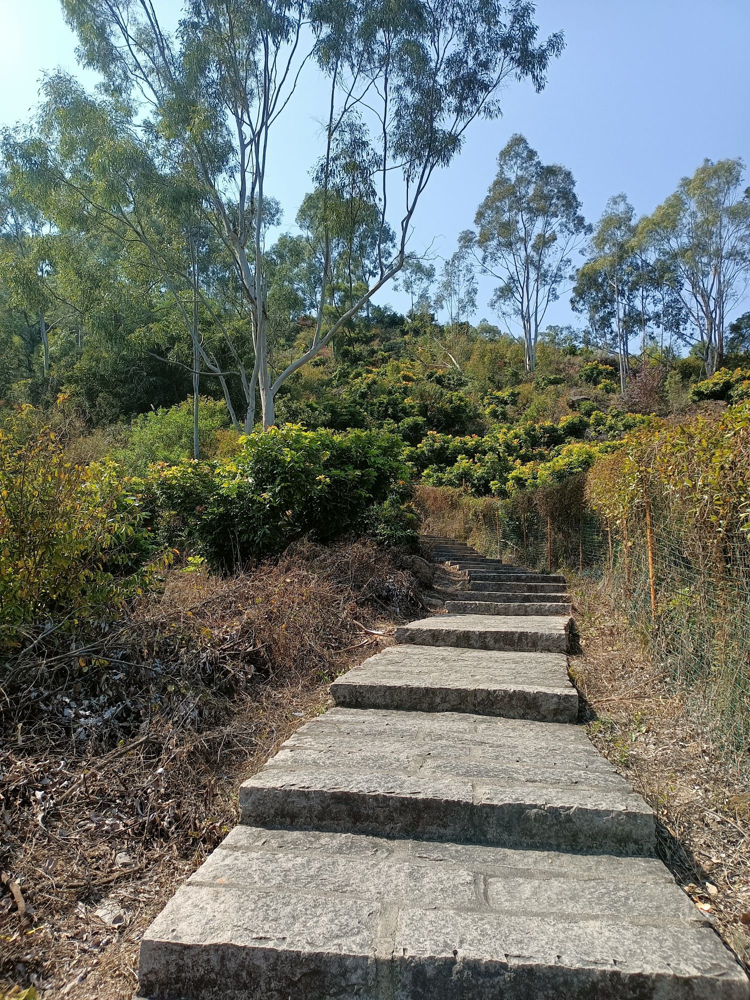 西山岩旅行图片 3