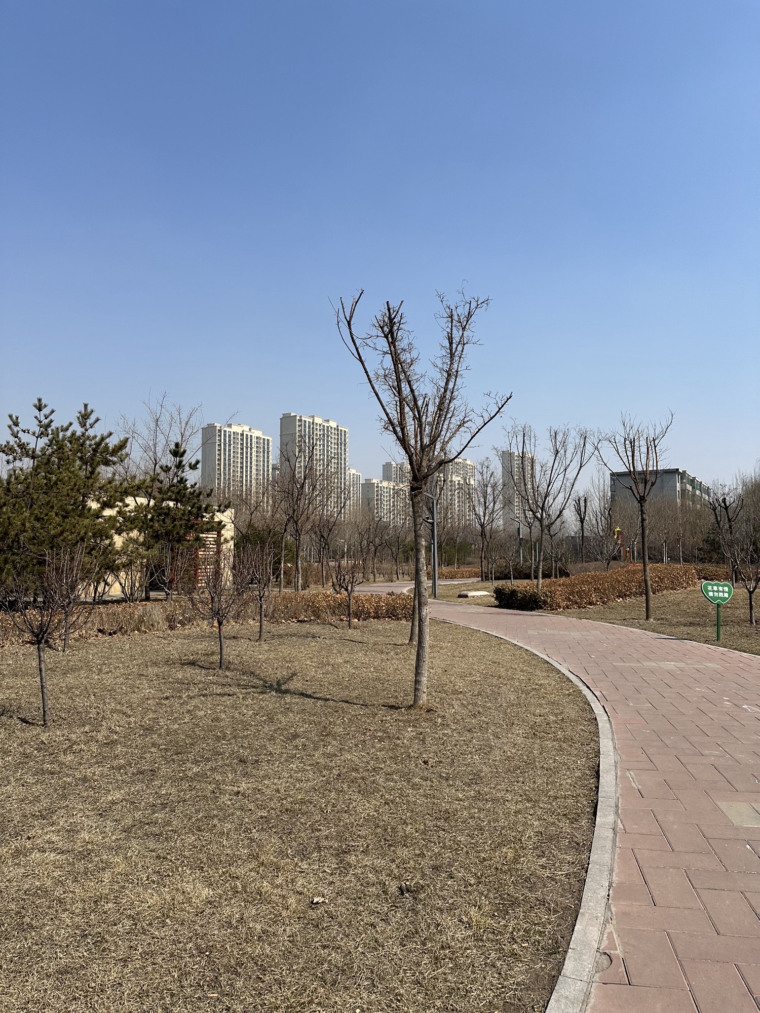 祁县玻璃艺术主题公园旅行图片 3