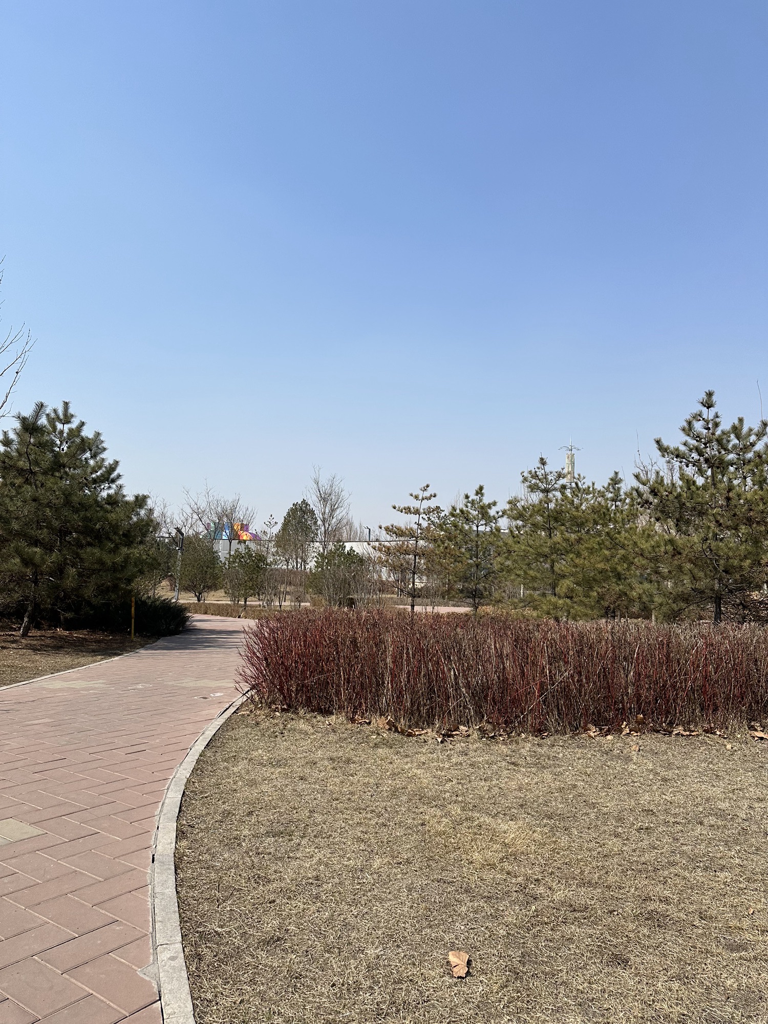 祁县玻璃艺术主题公园旅行图片 2