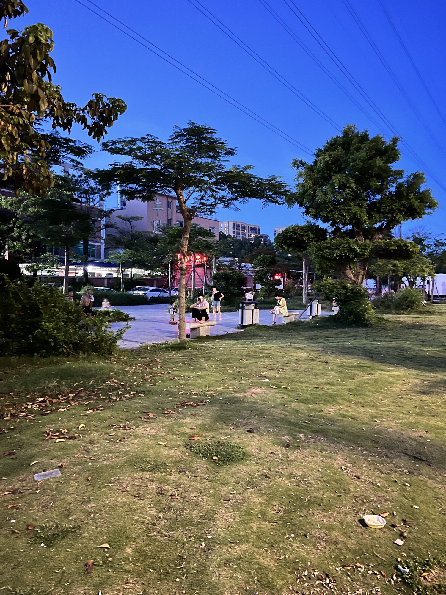 新津公园旅行图片 1