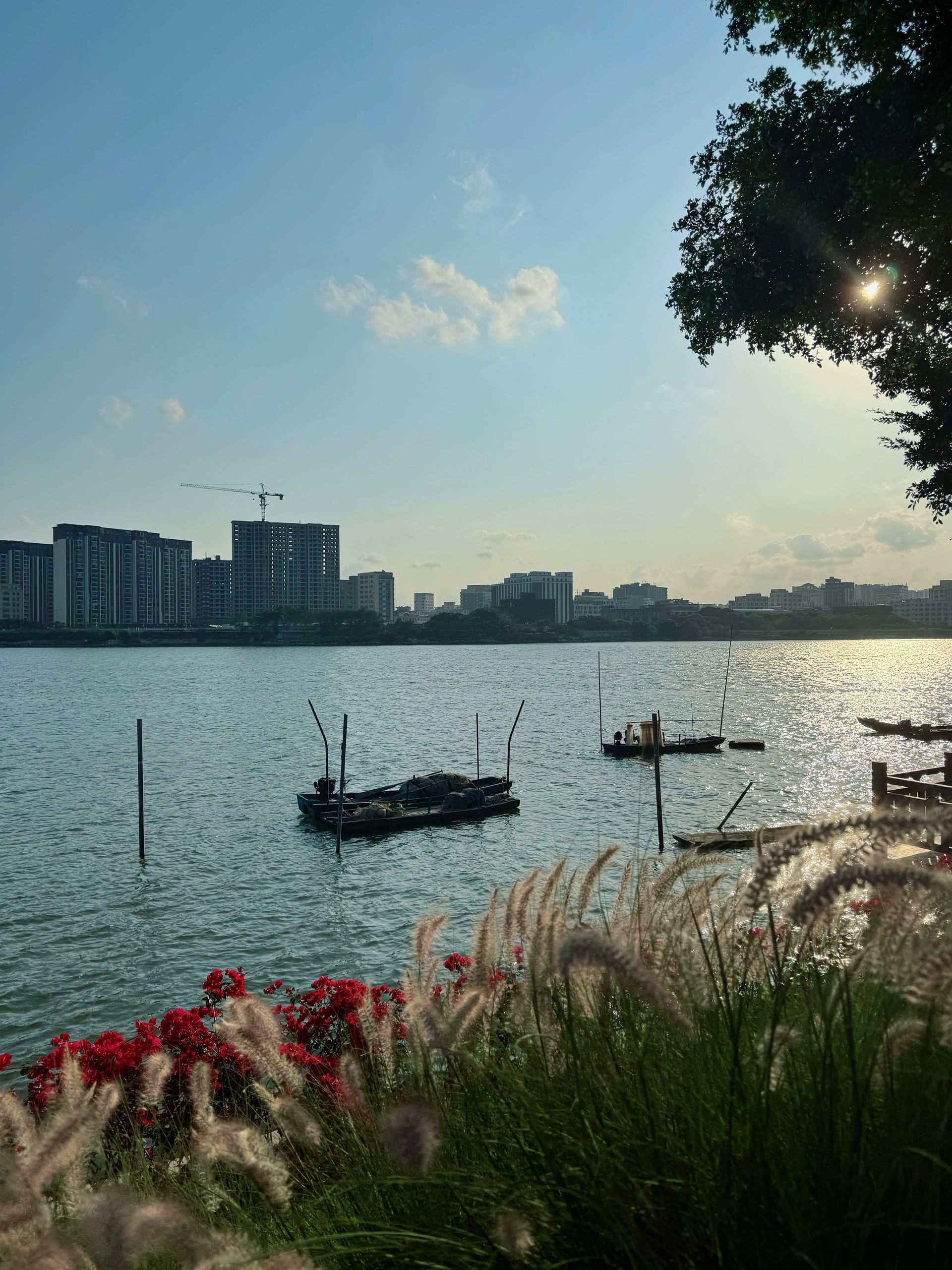 莲阳河南岸绿道公园旅行图片 2