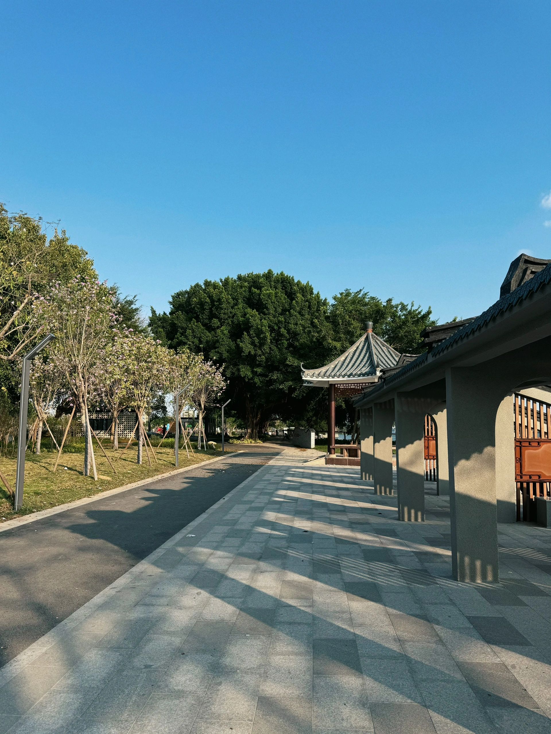 莲阳河南岸绿道公园旅行图片 3