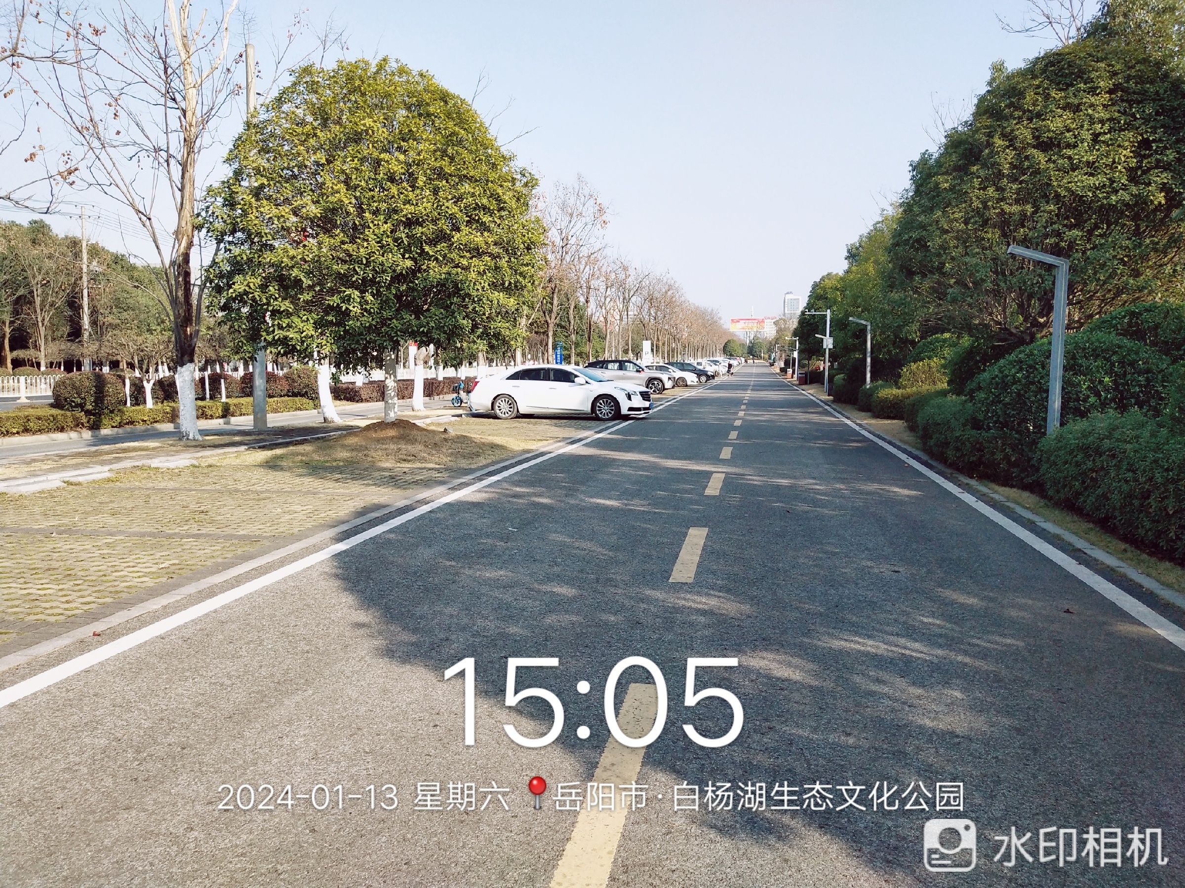 白杨湖生态文化公园旅行图片 1