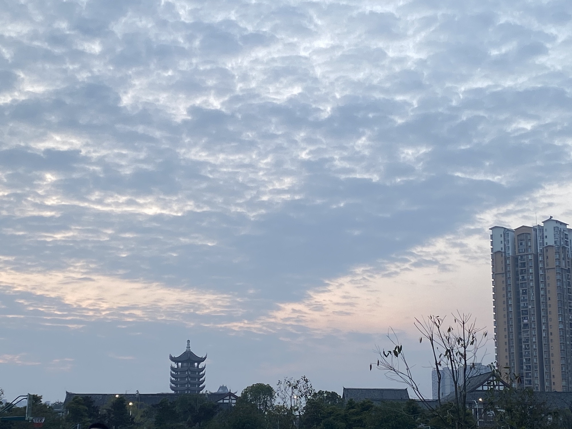 重庆玄天湖西郊玫瑰岛旅行图片 2