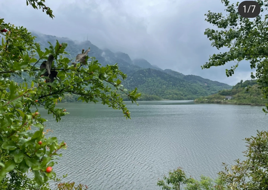 重庆玄天湖西郊玫瑰岛旅行图片 1