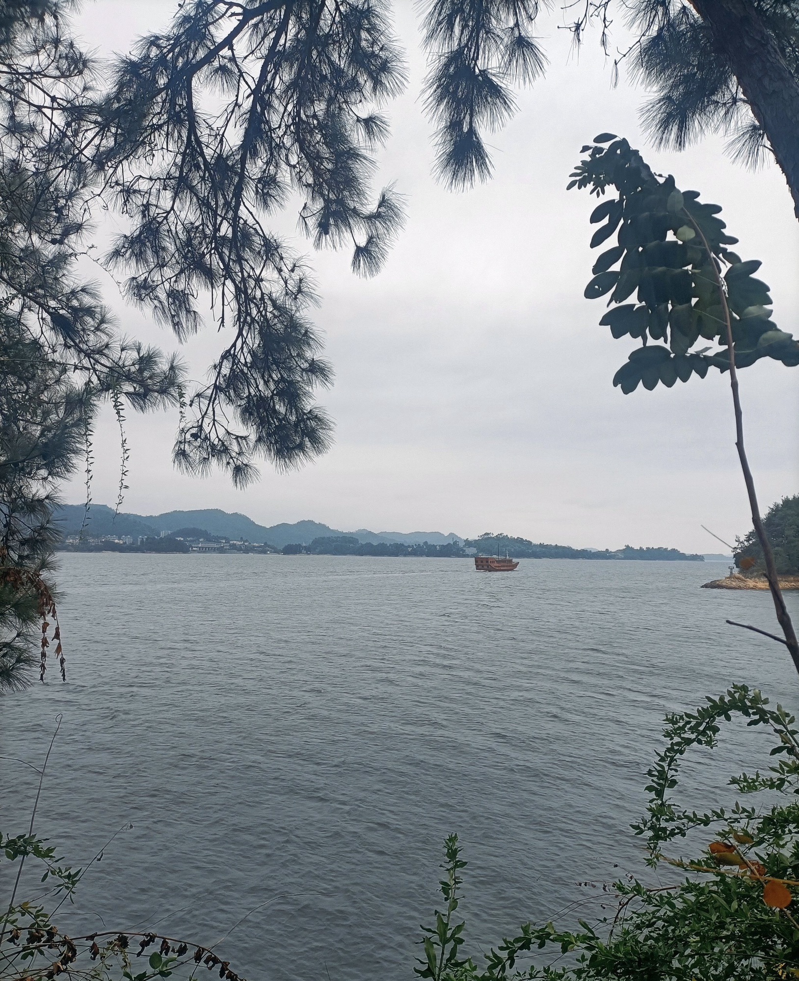 月光岛旅行图片 2
